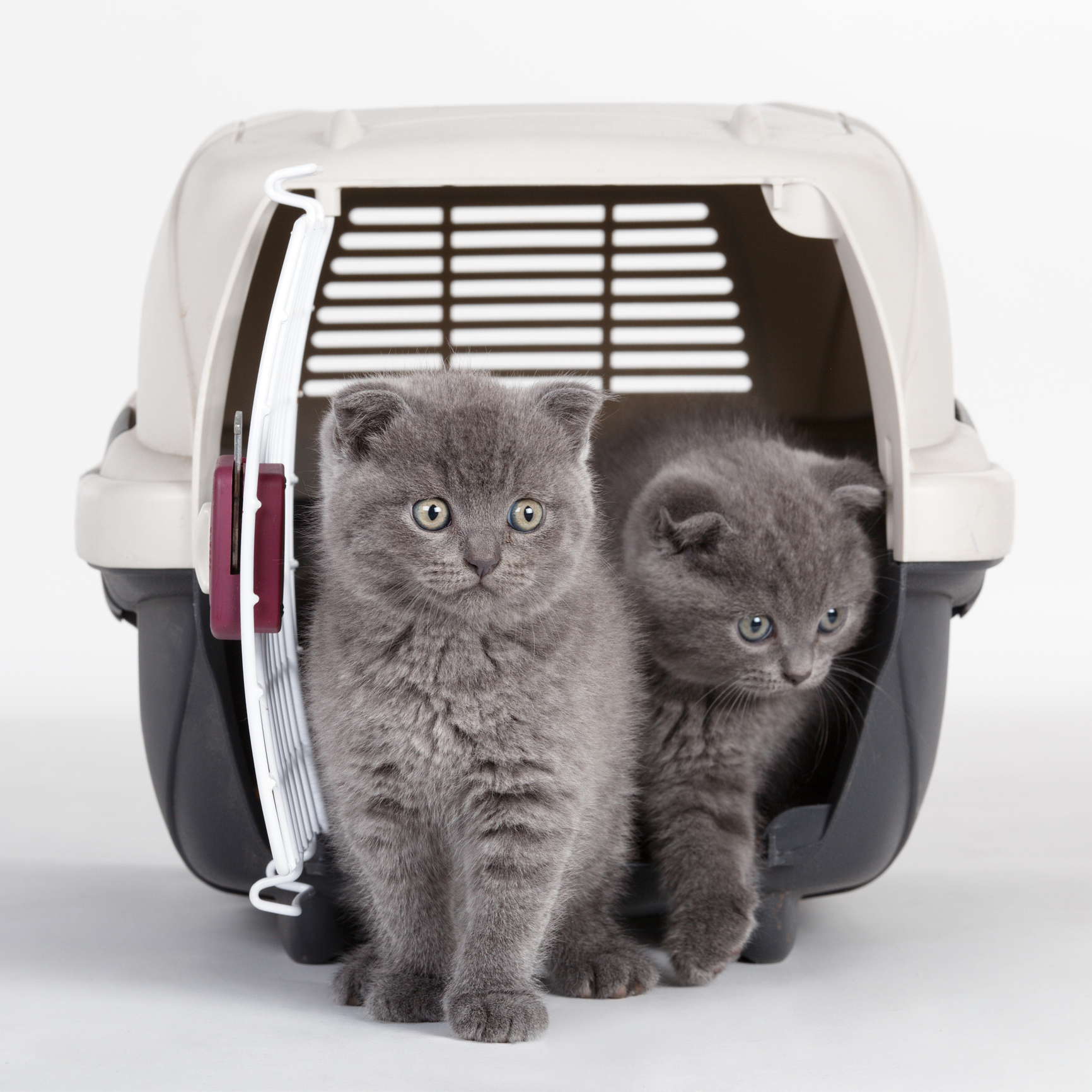 Photo by mbot/iStock / Getty Images