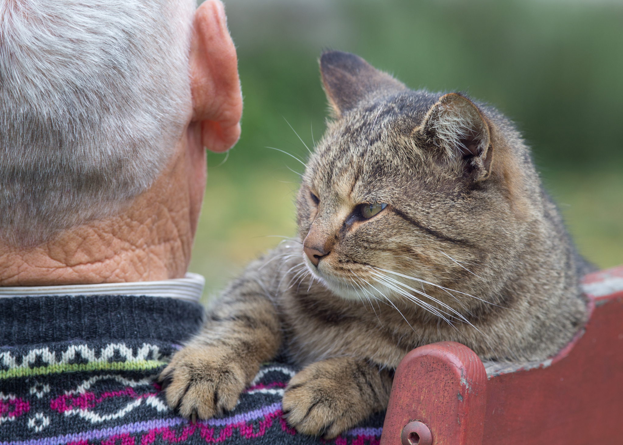 Photo by Jevtic/iStock / Getty Images