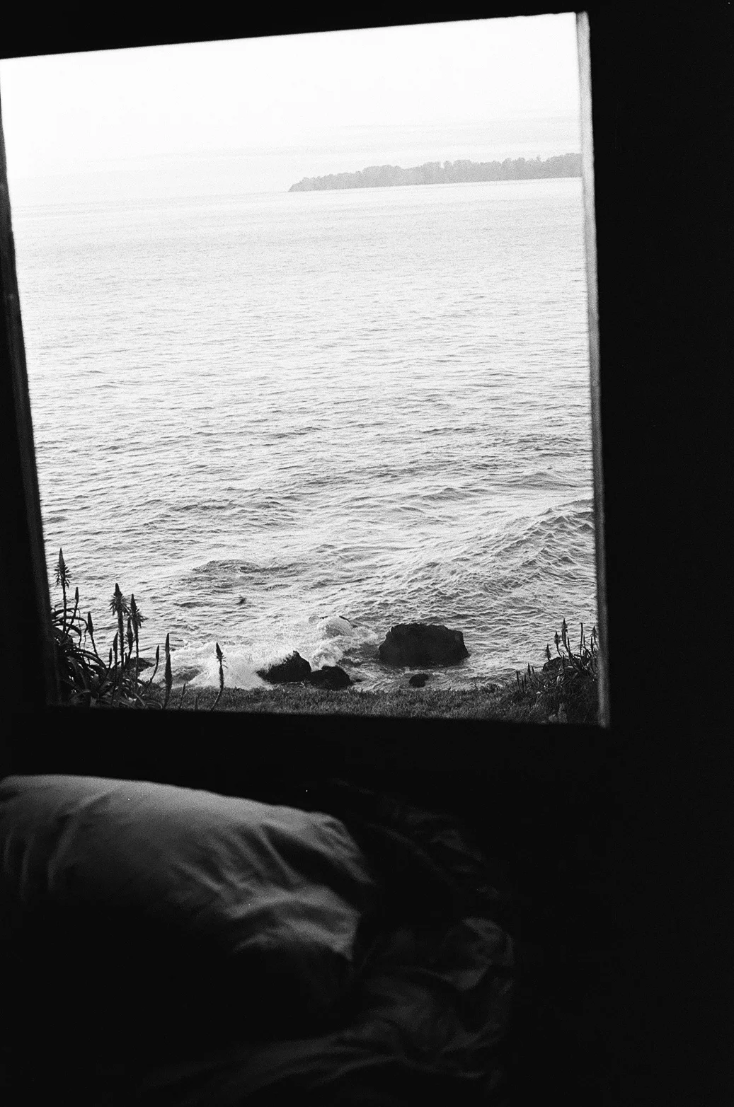 ©MadisonHalvorson_000184230008.jpg