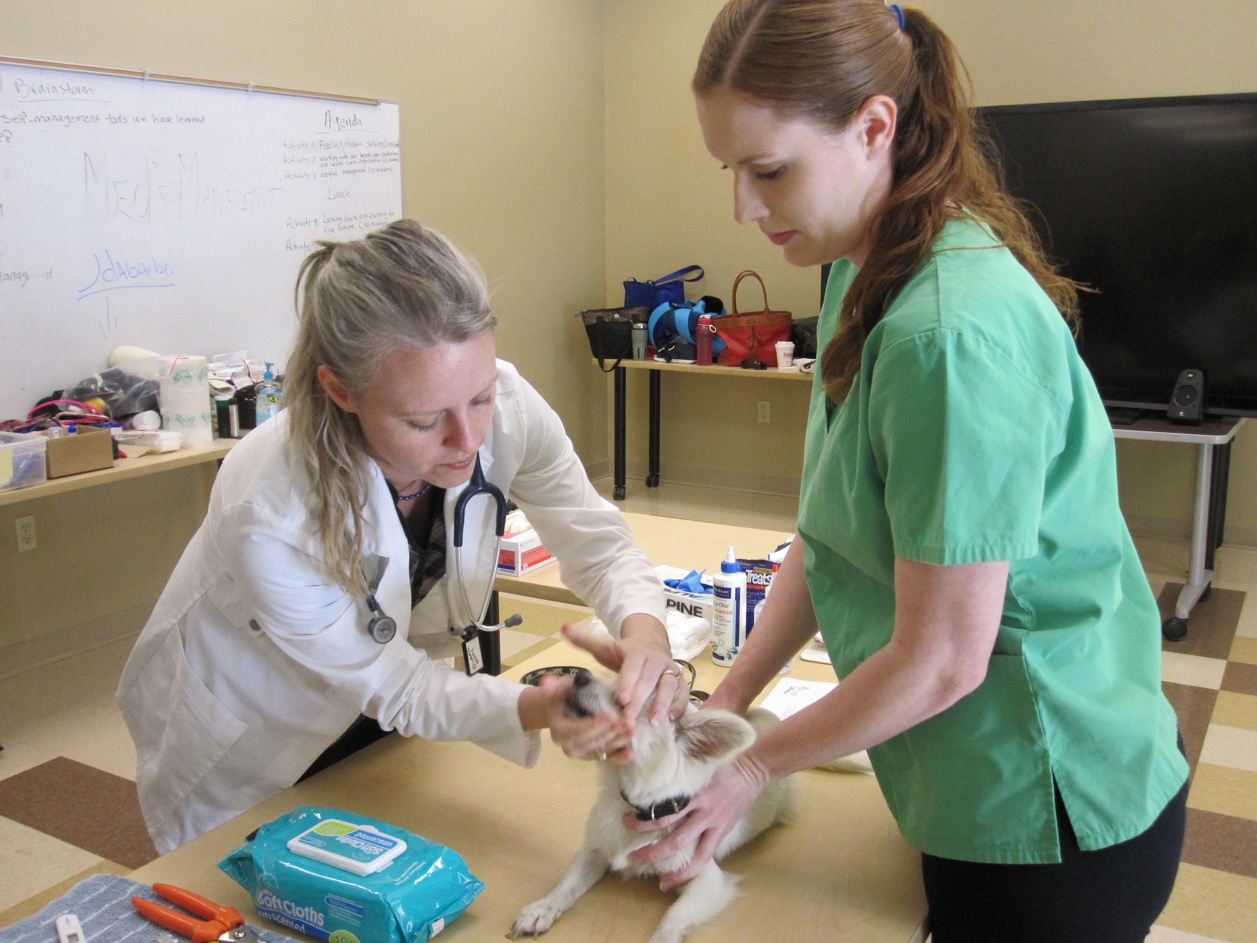 Veterinarians — Miami Veterinary Foundation