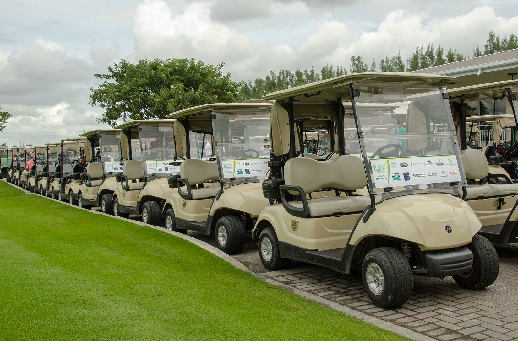 Golf carts.jpg