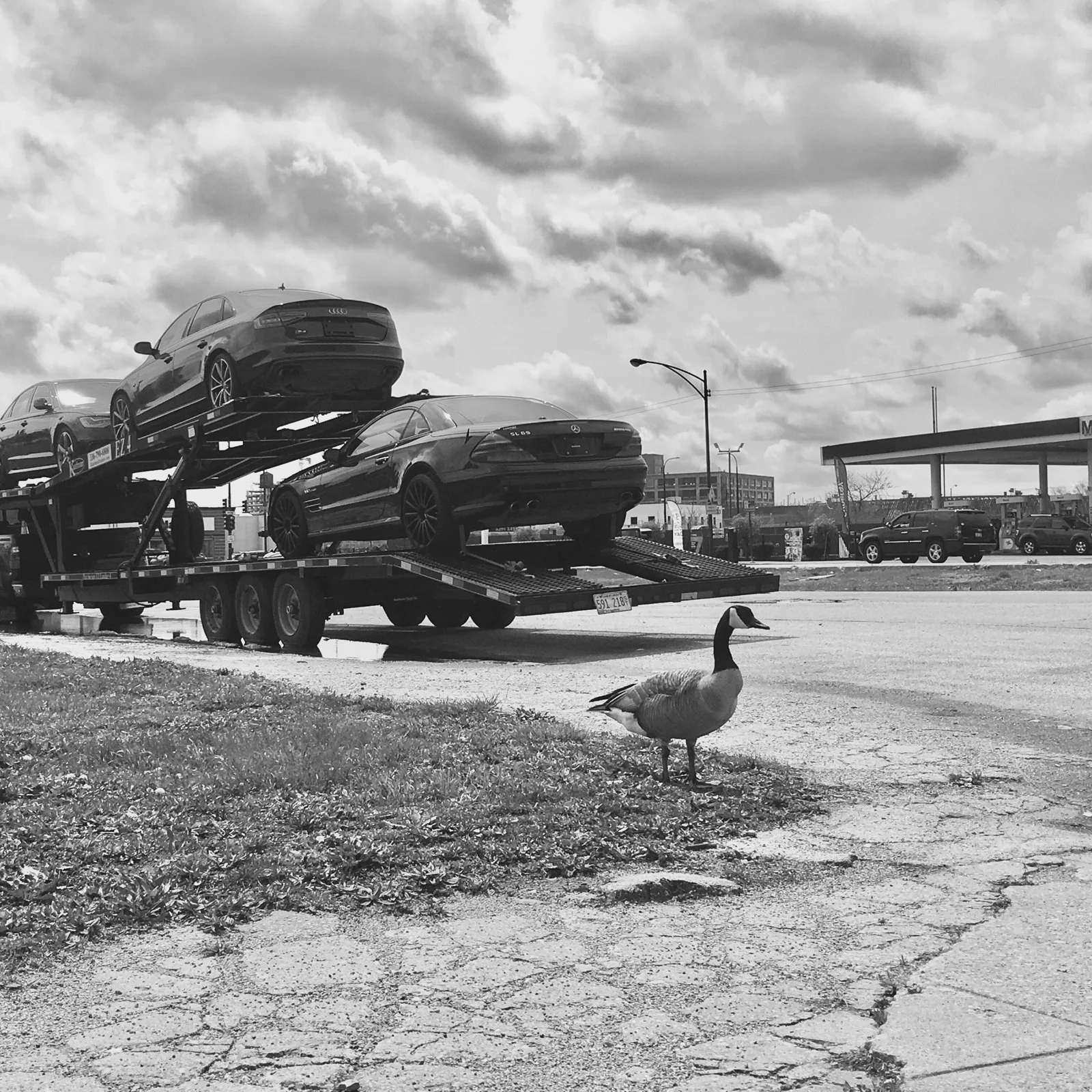 FullSizeRender.jpg copy.jpg