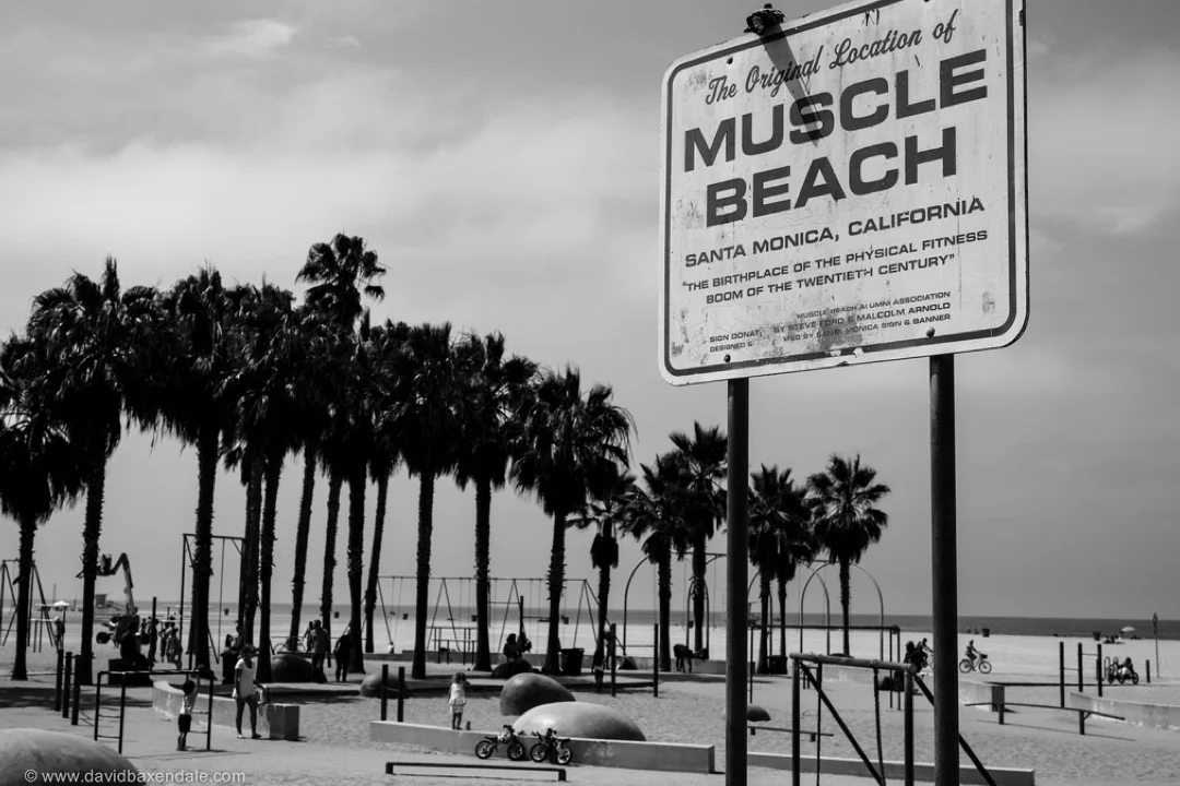 Immigranted gets Fit with So Cal Trainer