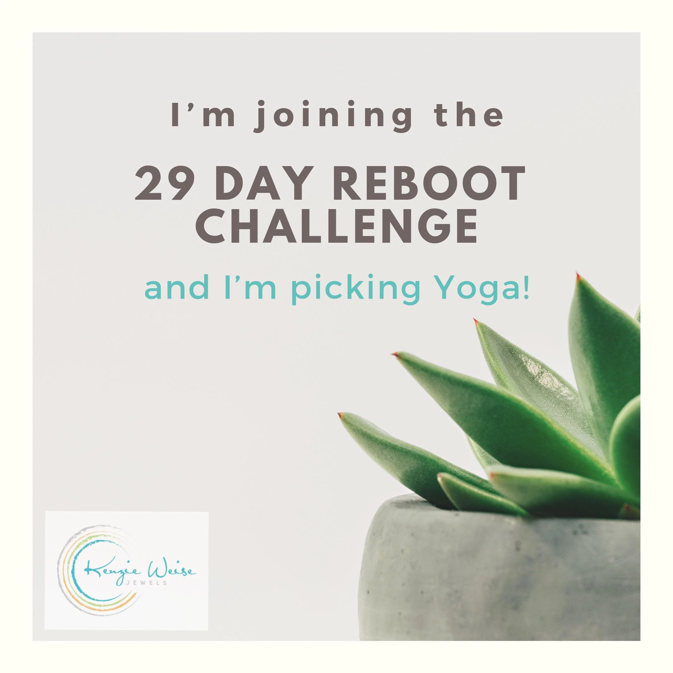 29 Day Reboot Challenge 2019