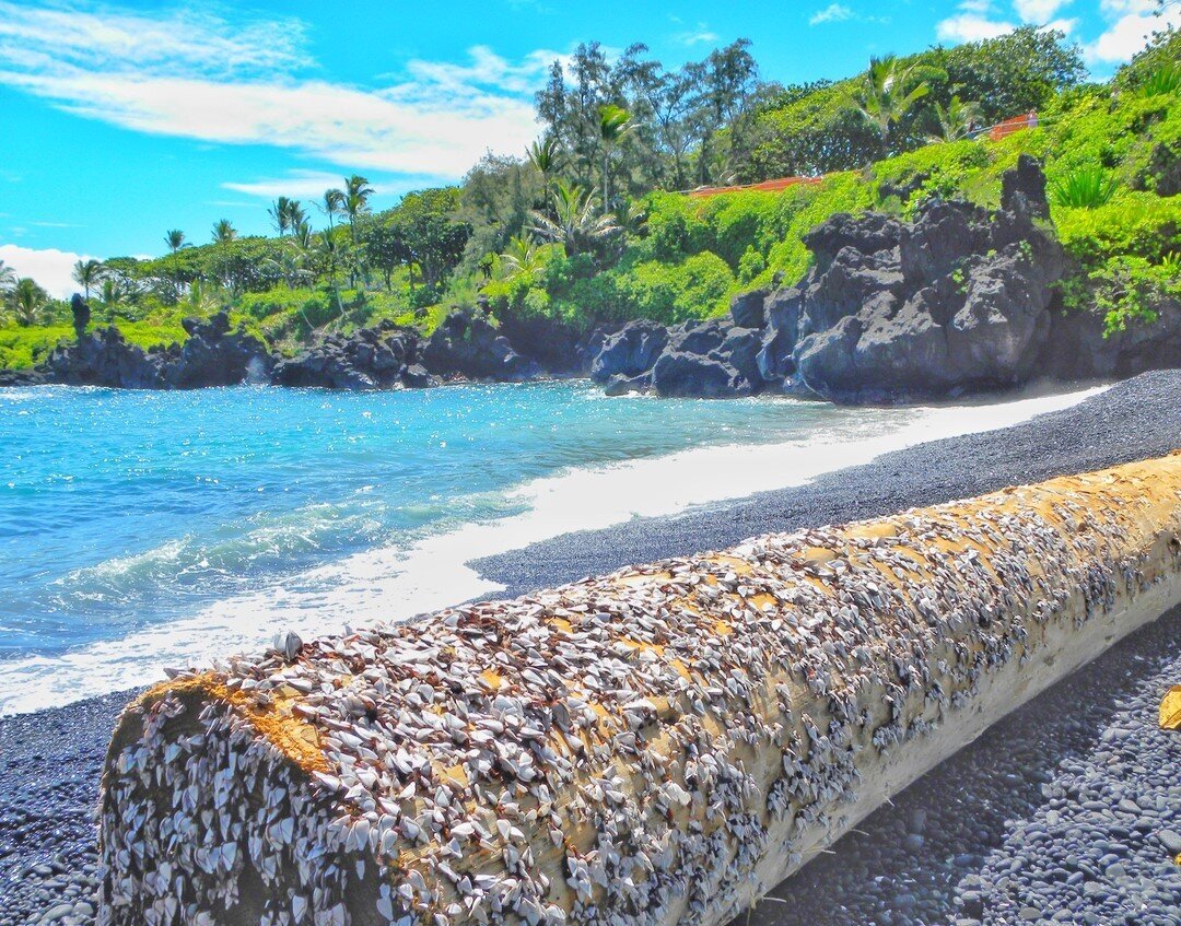 If you have the privilege of living close enough to the shore, take a stroll and breathe in the salty air while reflecting on how this awareness of breath makes you feel. Breath is one of the most important mindfulness tools in your toolbox. Don't le