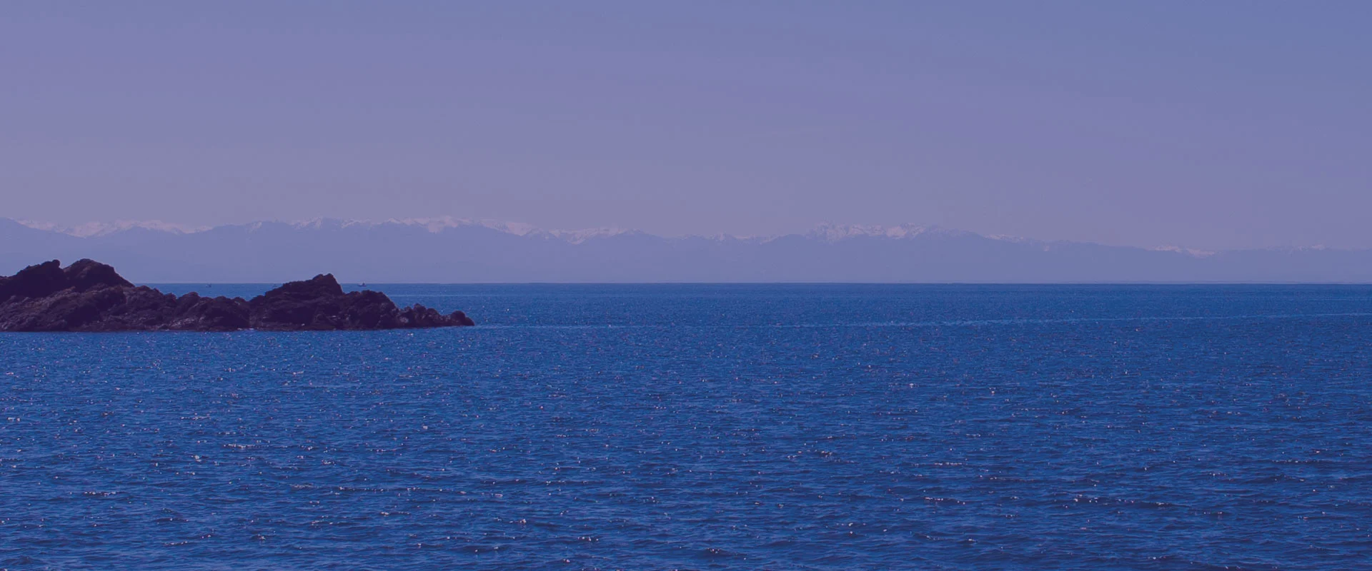 bam-header-rosario-01.jpg
