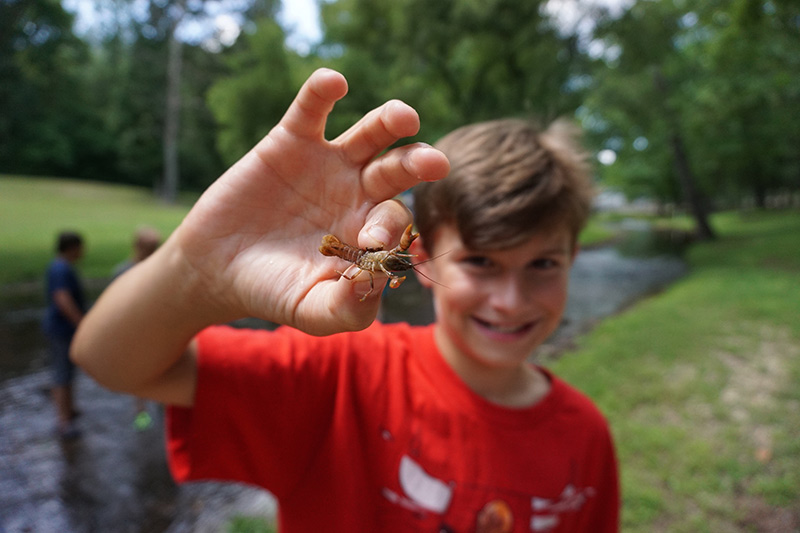  Young teenage boy holding an insect up to the camera - NaCoMe Camp &amp; Conference Center 