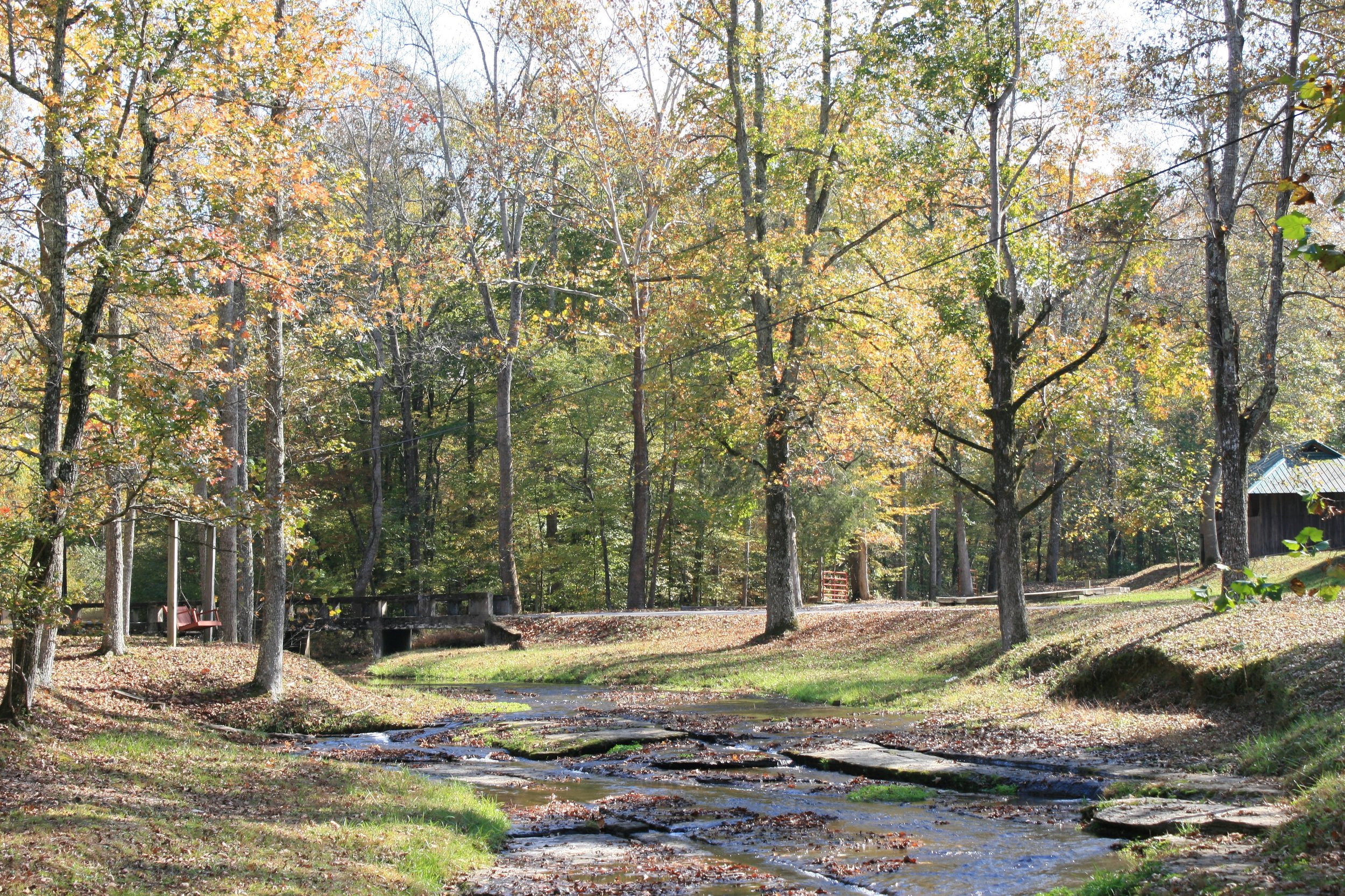 Creek at NaCoMe