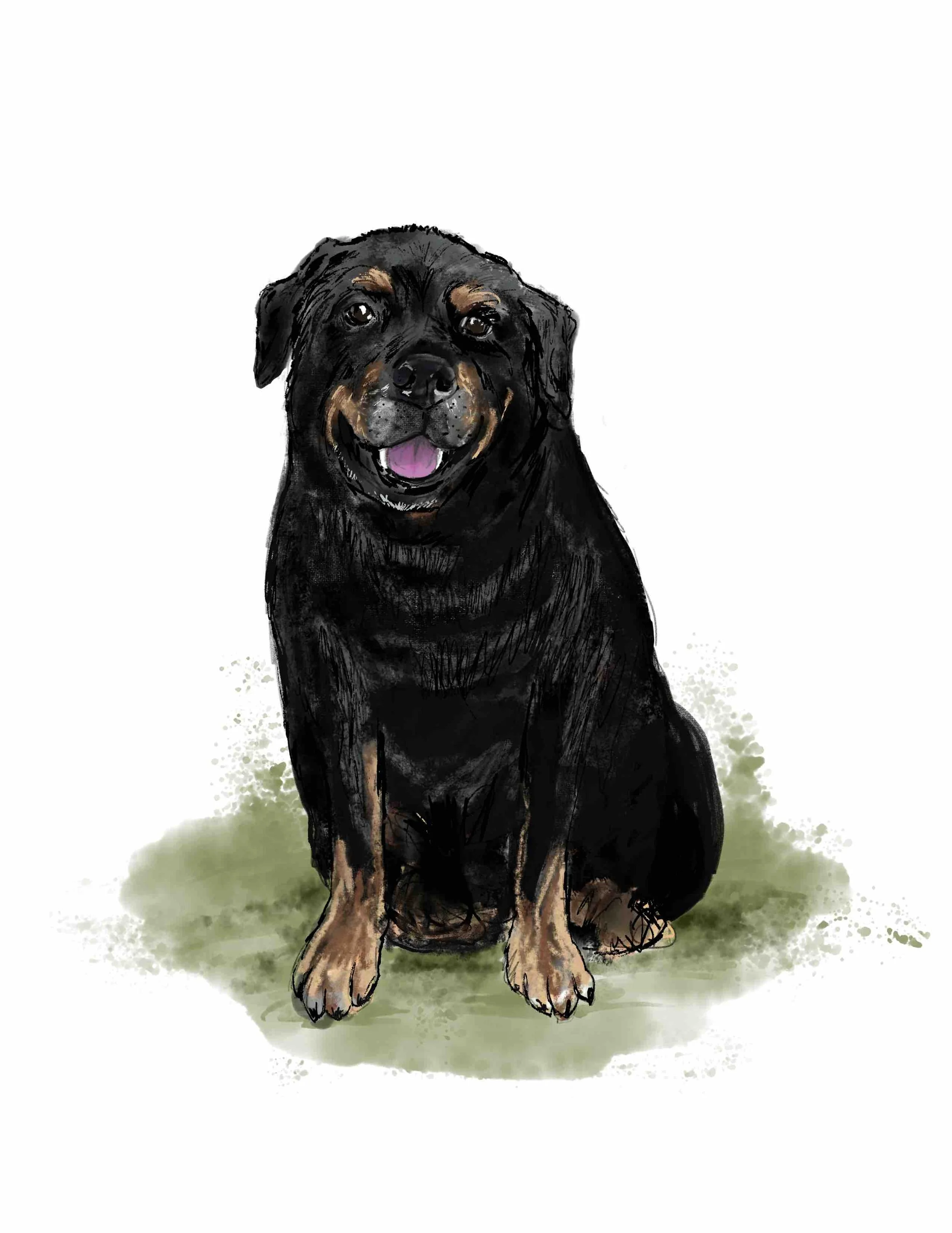 Huck.jpeg