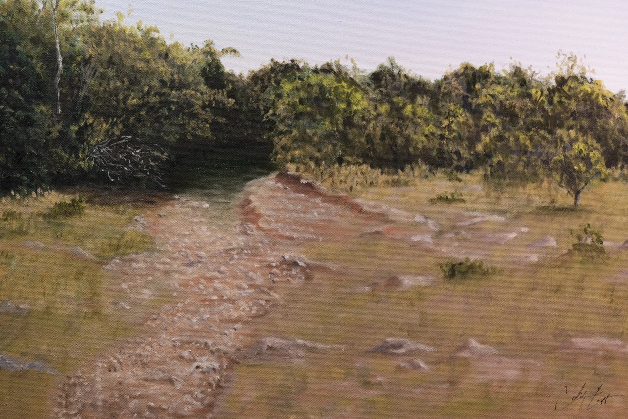 The Creek