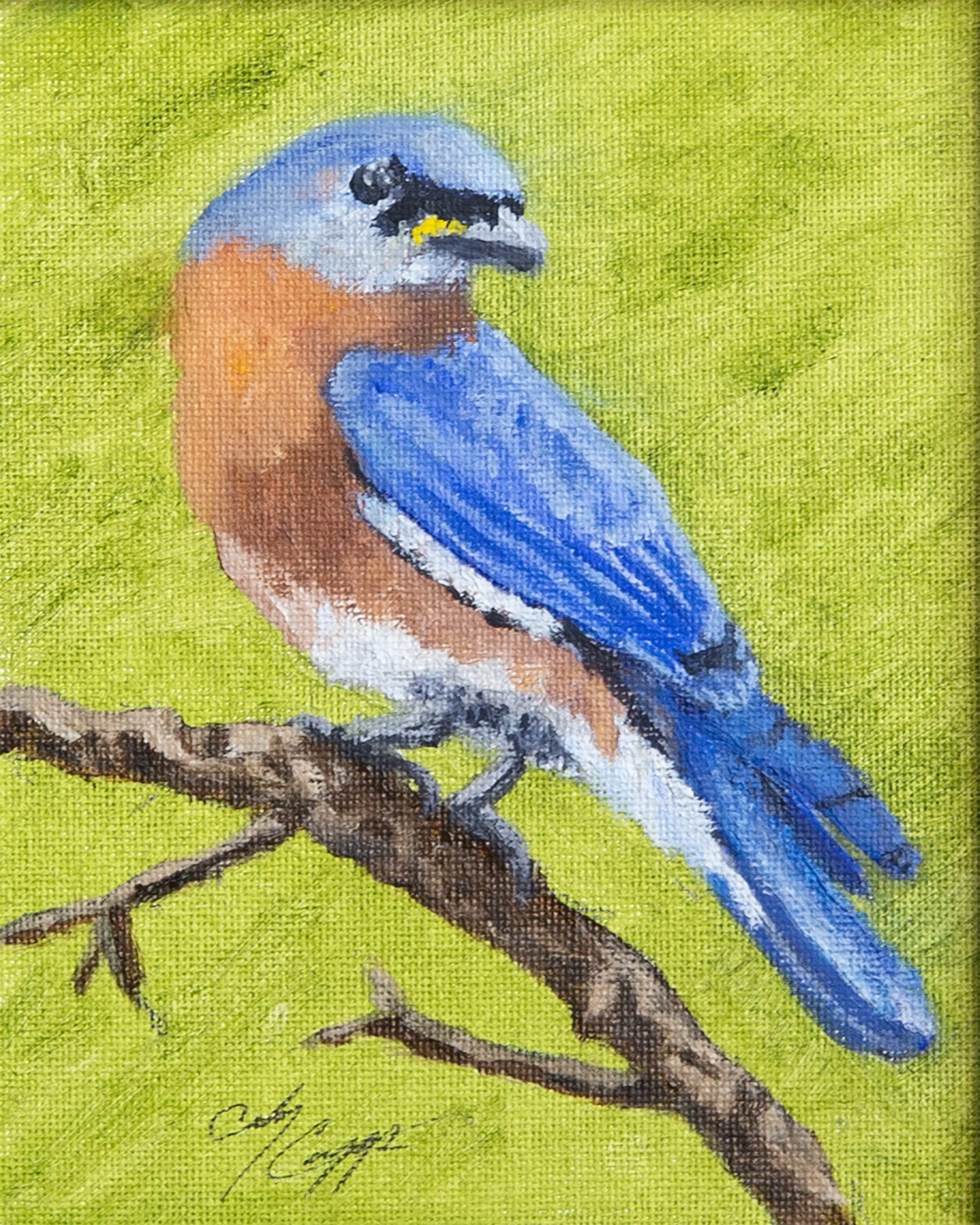 blue bird II 8x10.jpg