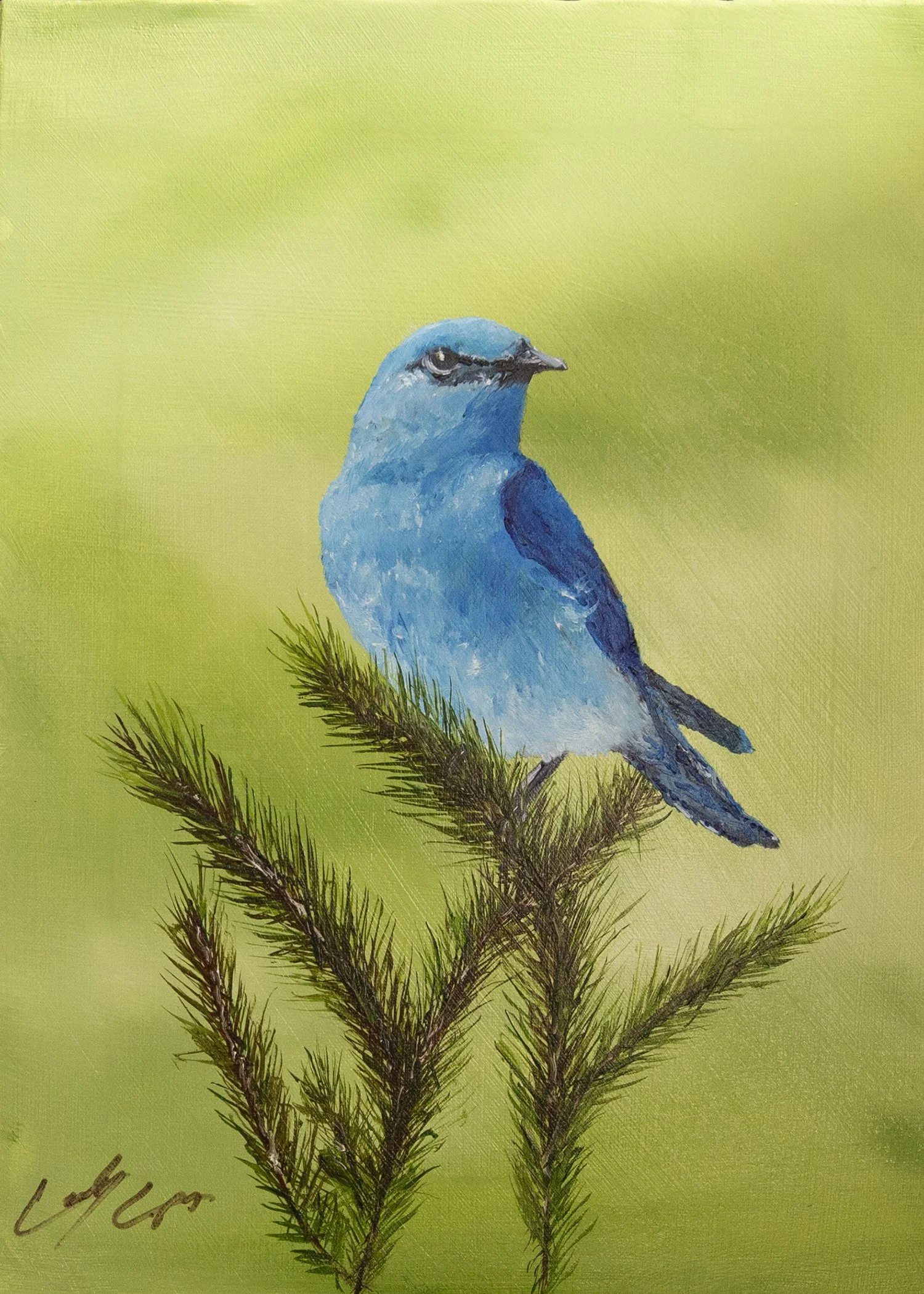 bluebird 5x7.jpg