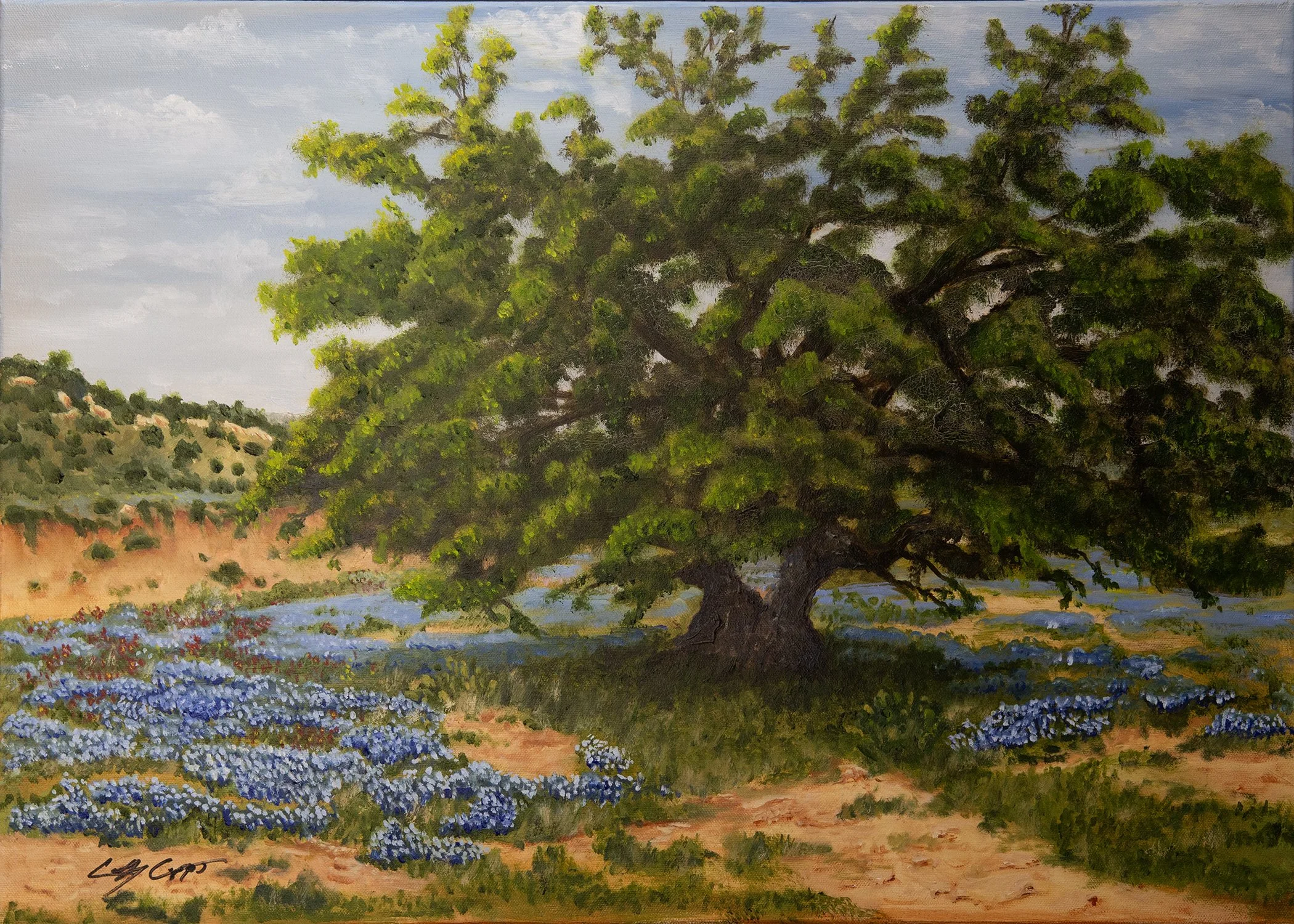 bluebonnet and tree 5x7.jpg