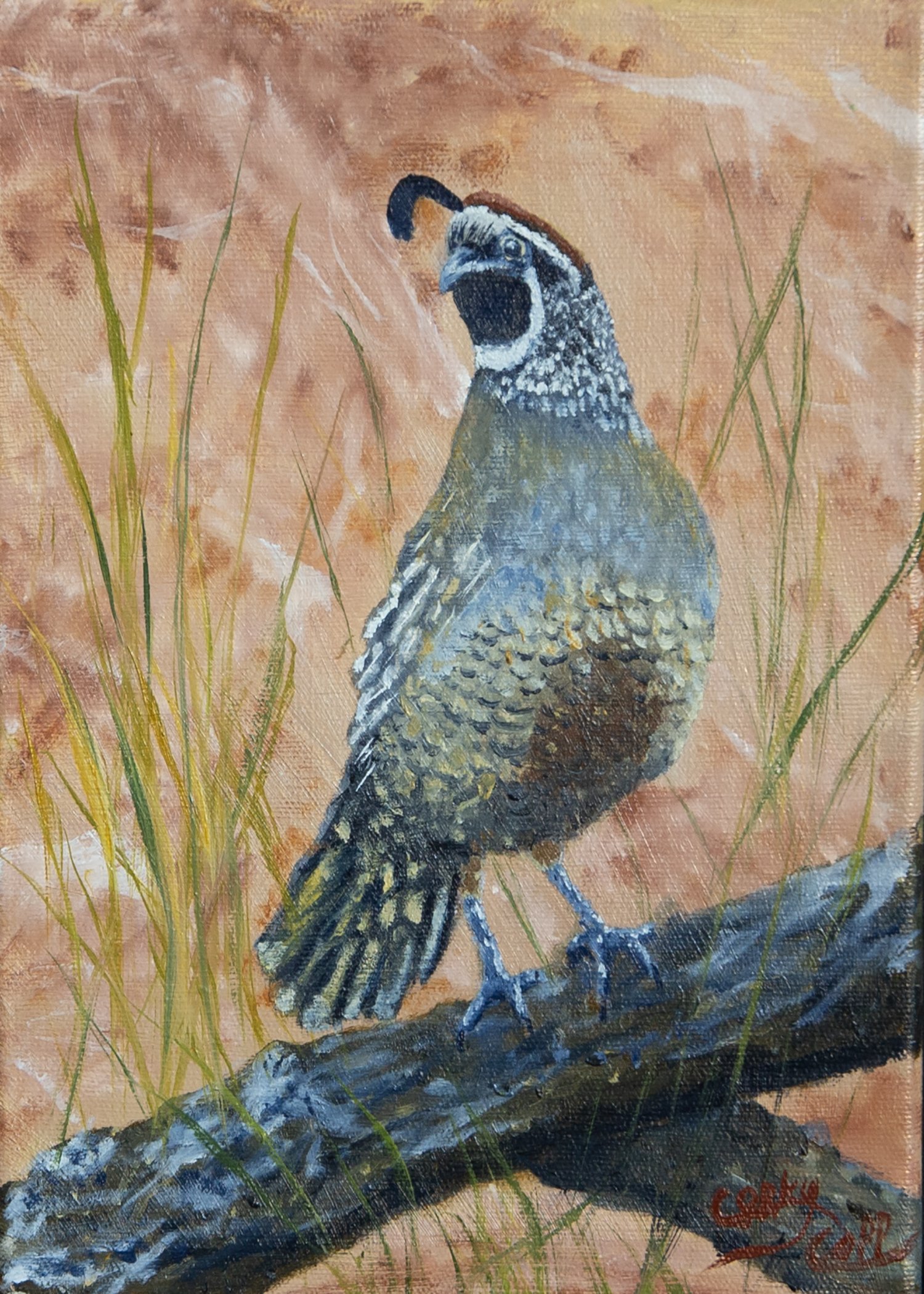 Quail 5x7.jpg