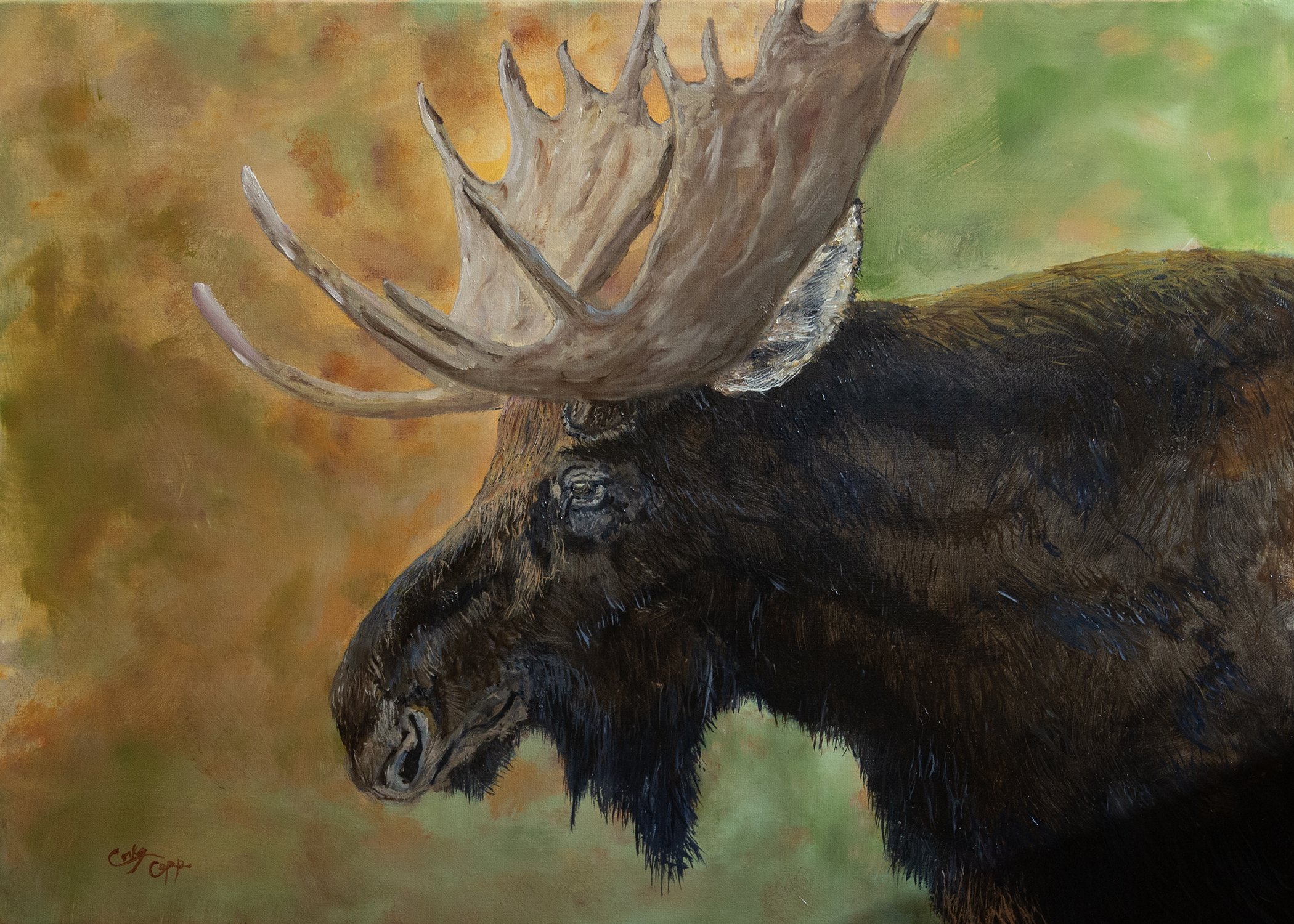 moose 5x7.jpg