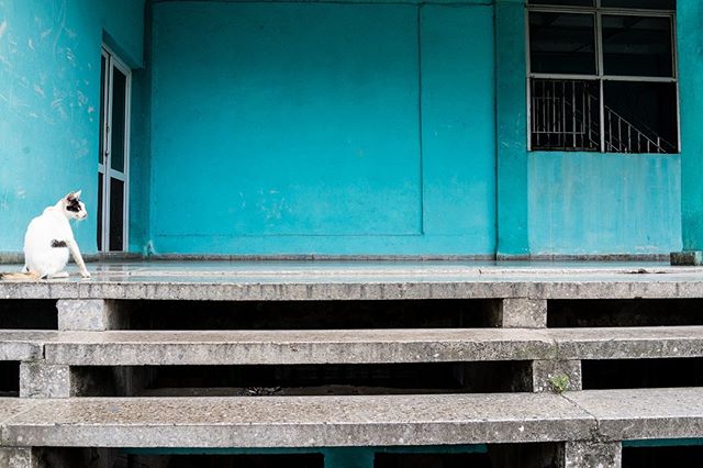 Instagram “Detrás de todos estos años”
.
.
.
.
.
#luisbrens #luisbrens.com #centrohabana#cuba #havana #cubaylafotografia#habanacuba #mismomentosencuba
#streetphotography #brensgraphy #Luis.brens
