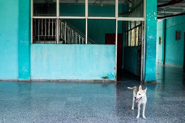 “Para matar jugadas” Parte II
.
.
.
.
#luisbrens #luisbrens.com #centrohabana#cuba #havana #cubaylafotografia#habanacuba #mismomentosencuba
#streetphotography #brensgraphy #Luis.brens