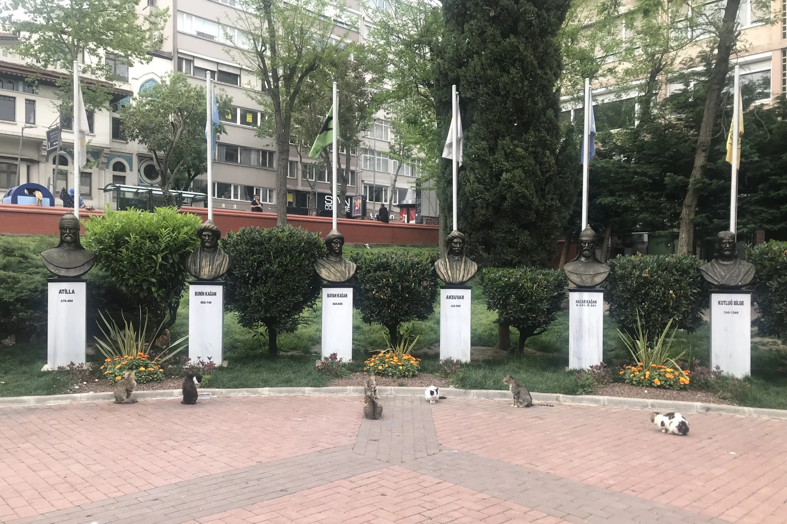 Cats at Maçka Sanat Park