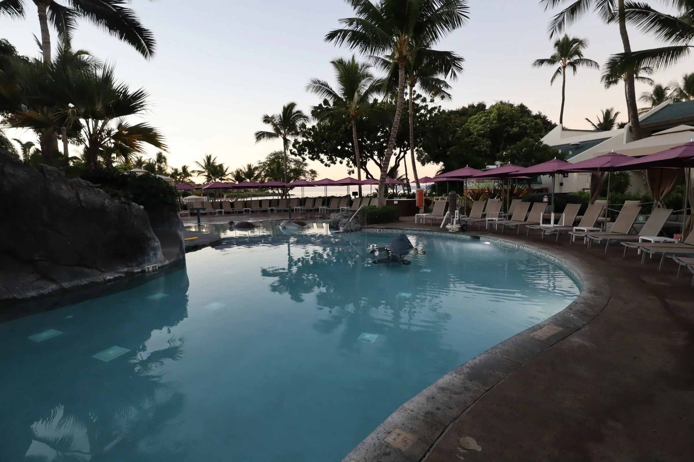 Maui Tripadvisor Forum - vj7tlyl