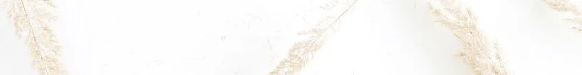 unspecified-6.jpeg