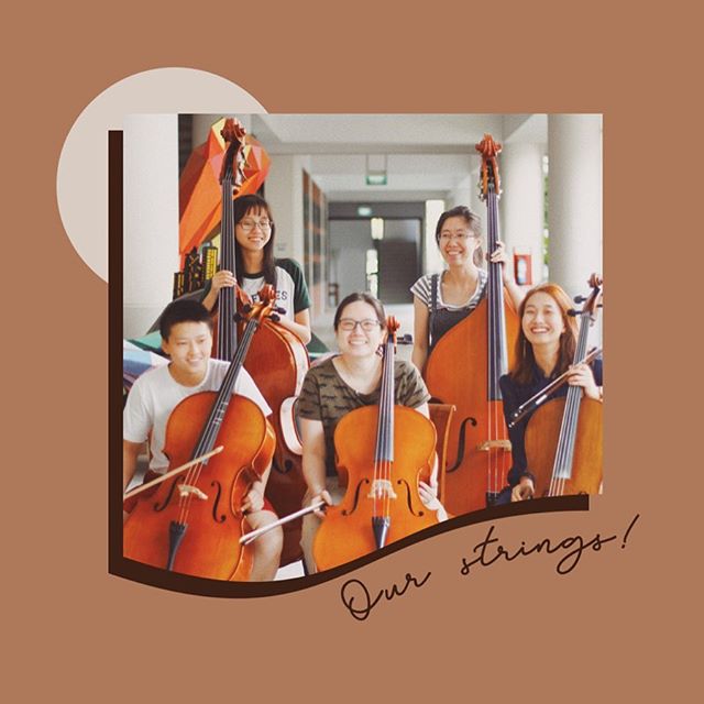 Meet our lovely...strings section?????! Yes, after years of isolation and neglect by the wind community, our string bassists are delighted to finally have the company of other fellow string players ;&ndash;) They even found a cardboard friend not far