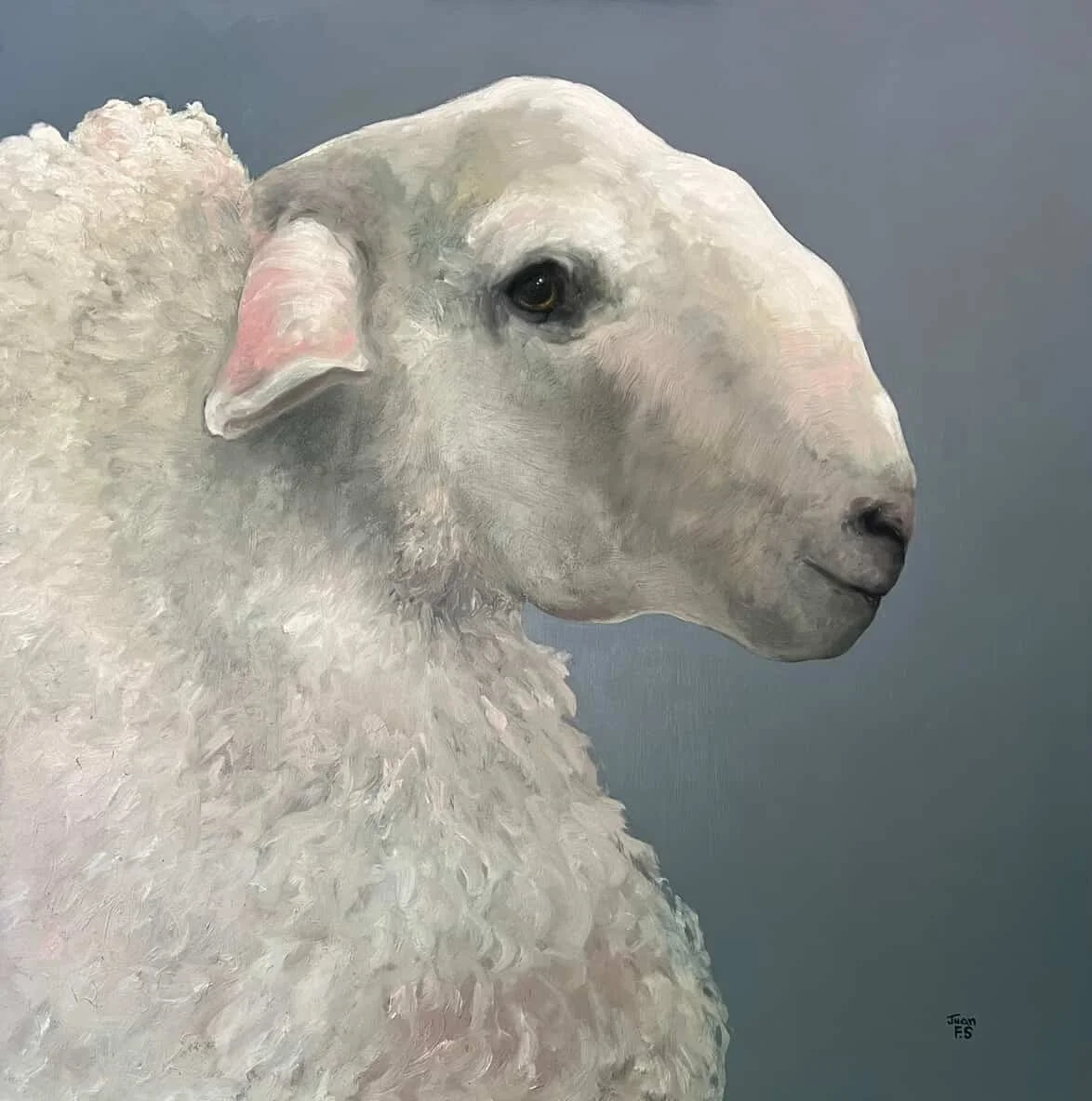 large sheep.jpg