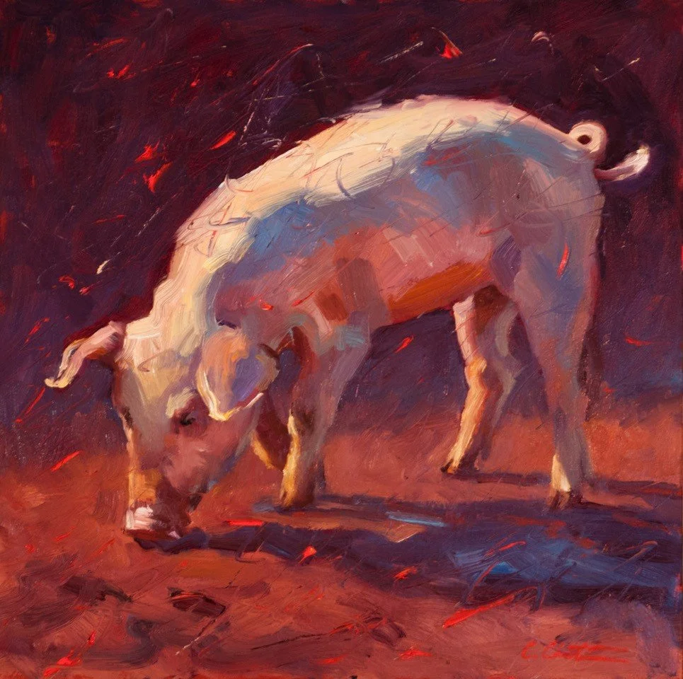 rooting 12 sq 3400.jpg