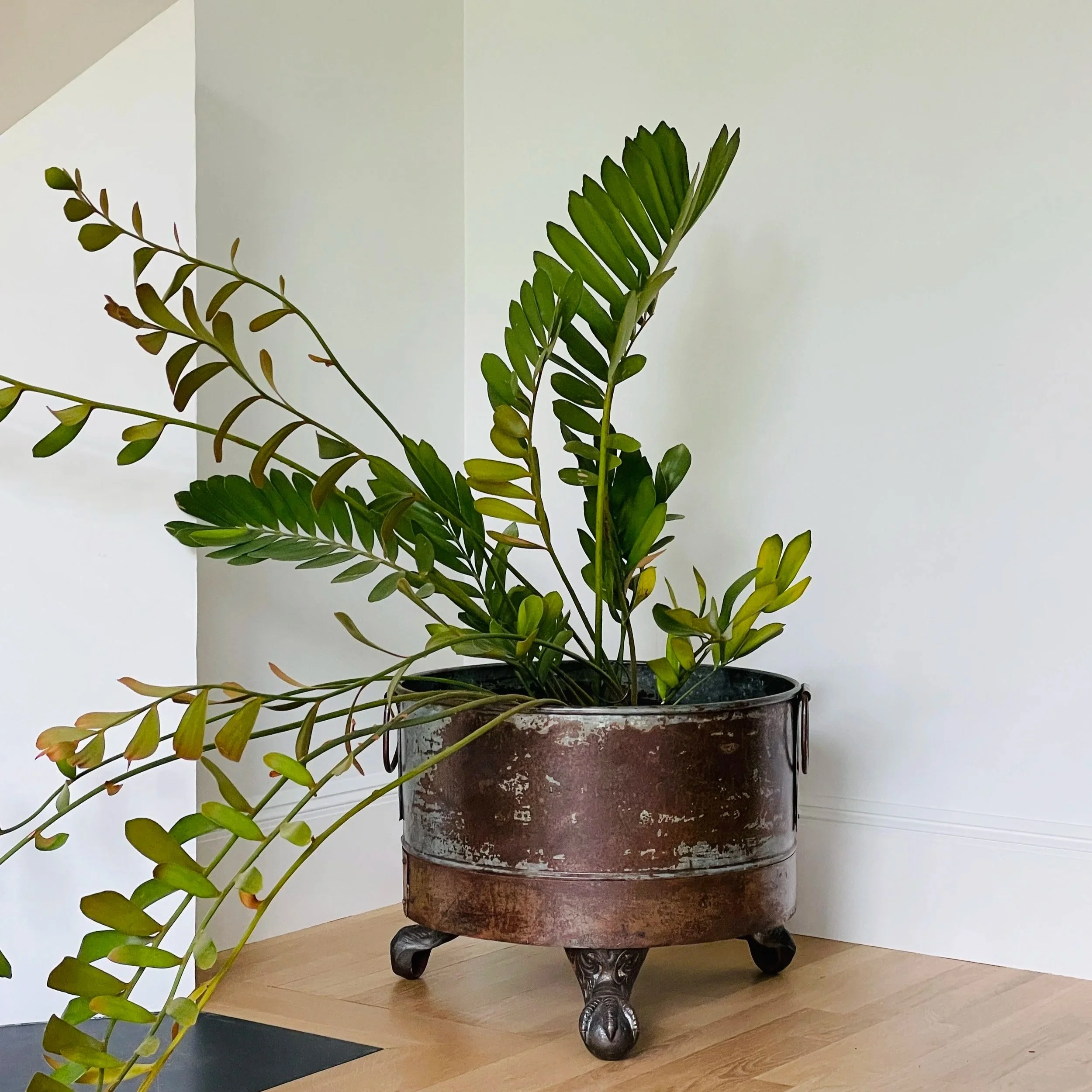 MATERI(A)NTIQUES LARGE METAL ROUND FOOTED PLANT HOLDER