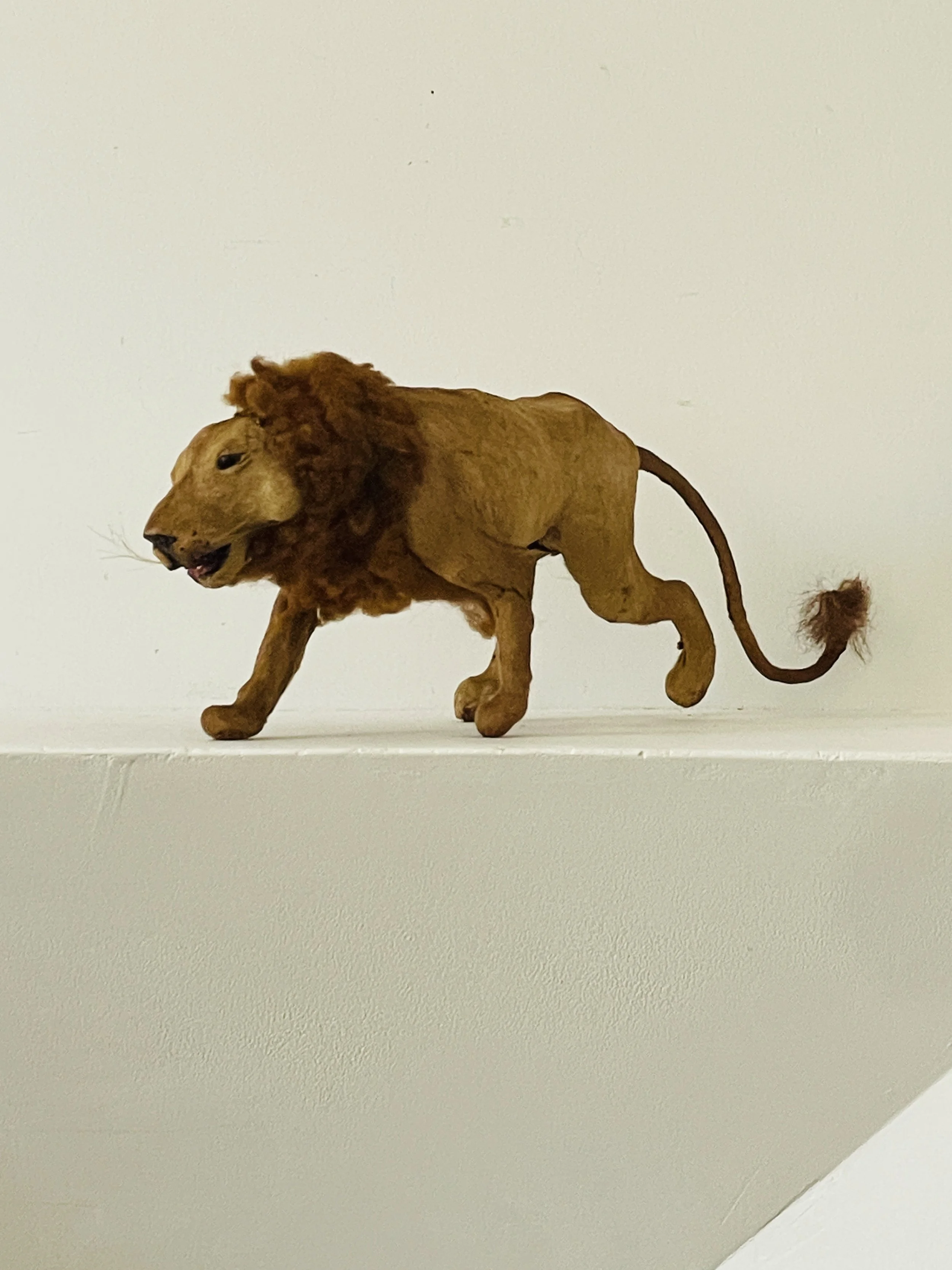 MATERI(A)NTIQUES MEDIUM FUR AND WOOL LION TOY(3).jpg
