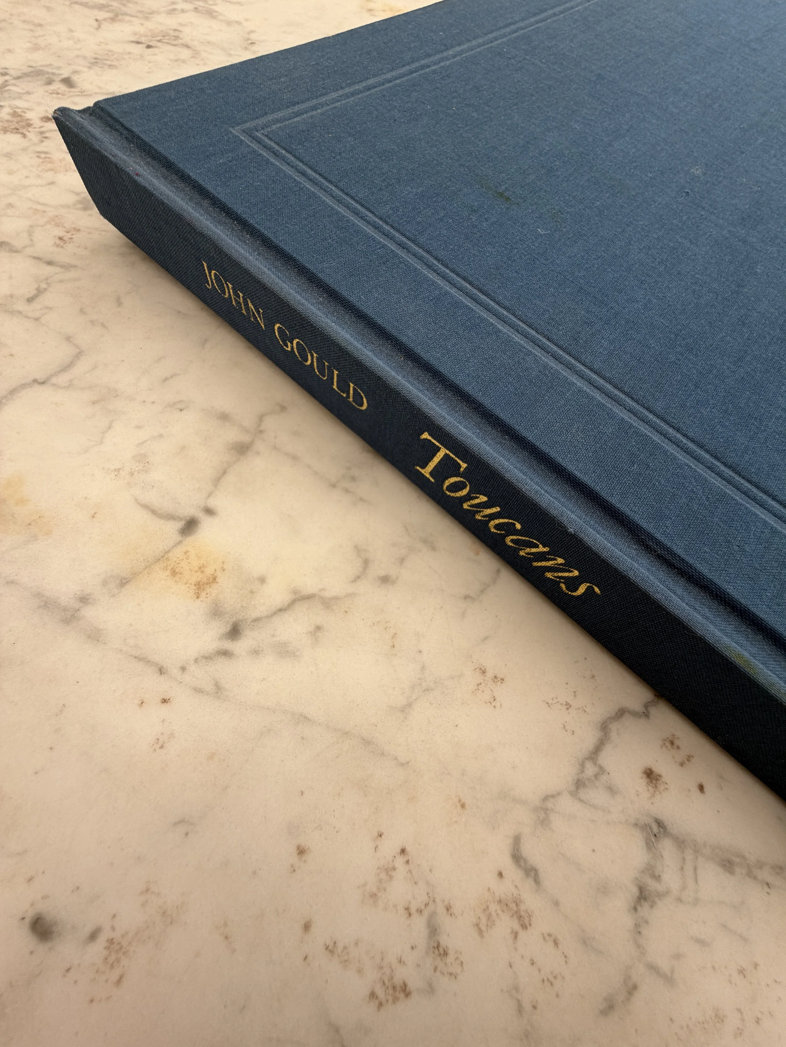 MATERI(A)NTIQUES LARGE FORMAT BOOK FROM BRITISH MUSEUM OF NATURAL HISTORY "TOUCANS".3.JPG