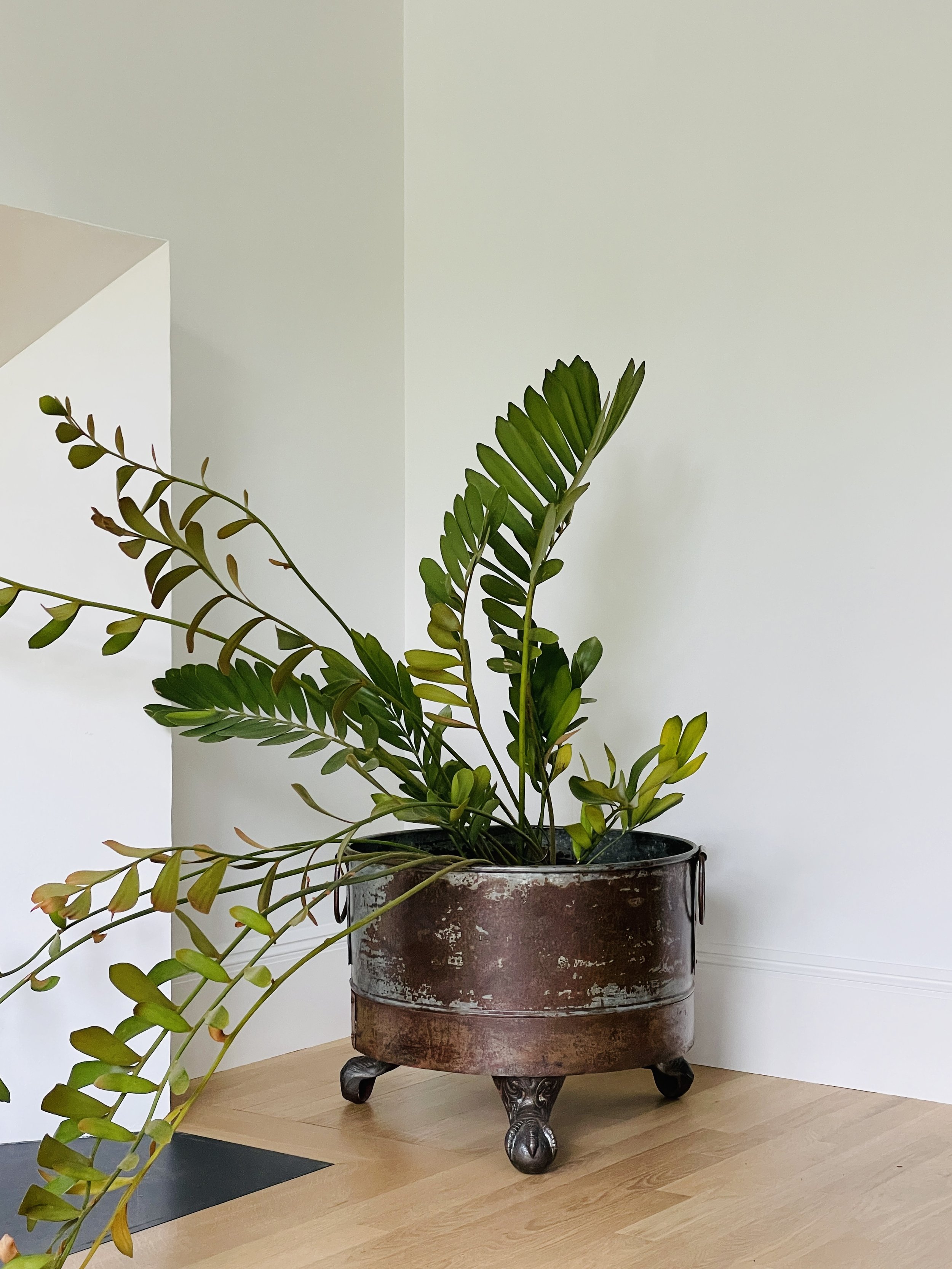 MATERI(A)NTIQUES LARGE METAL ROUND FOOTED PLANT HOLDER(5).jpg