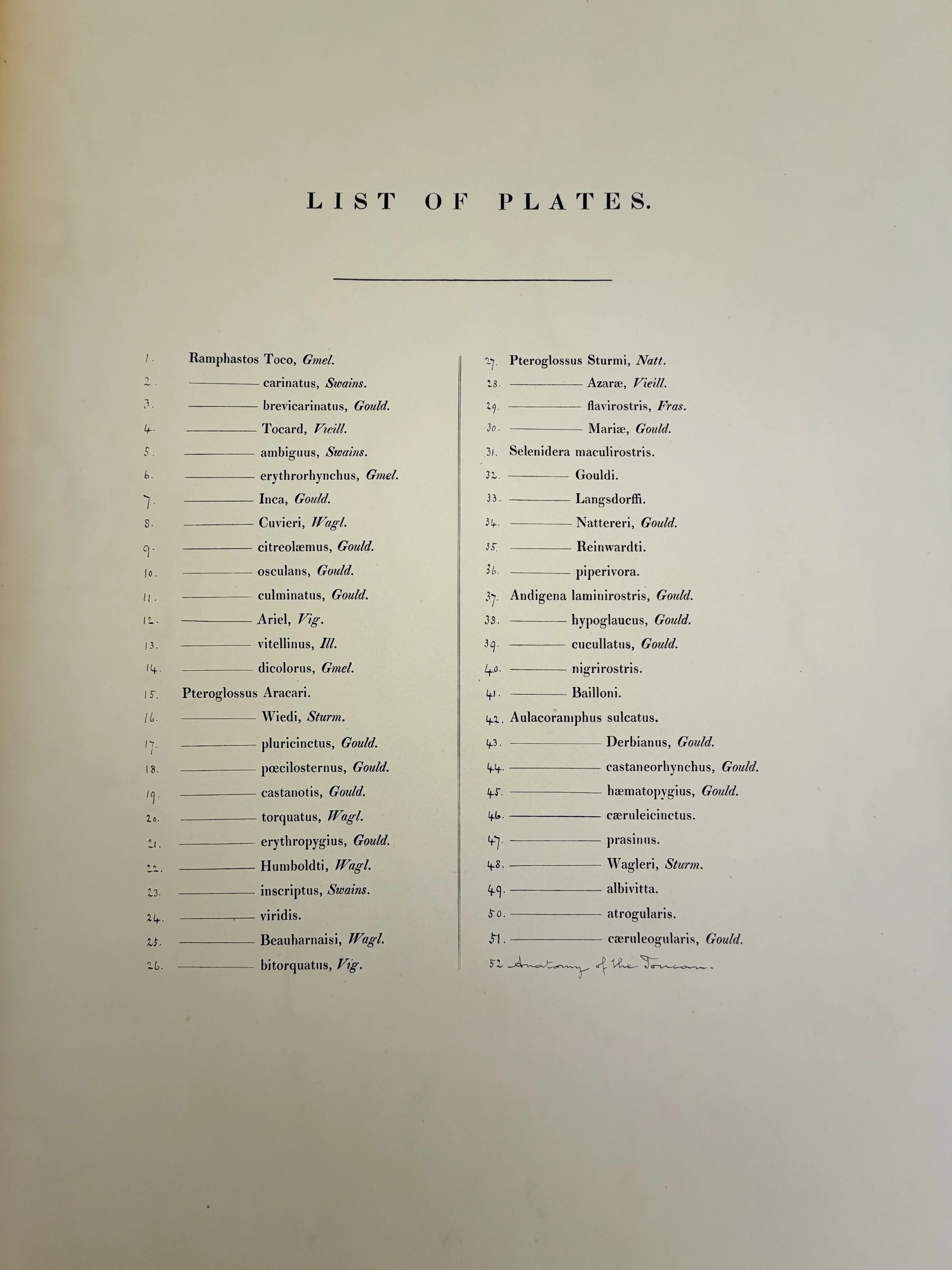 MATERI(A)NTIQUES LARGE FORMAT BOOK FROM BRITISH MUSEUM OF NATURAL HISTORY "TOUCANS".11.jpg