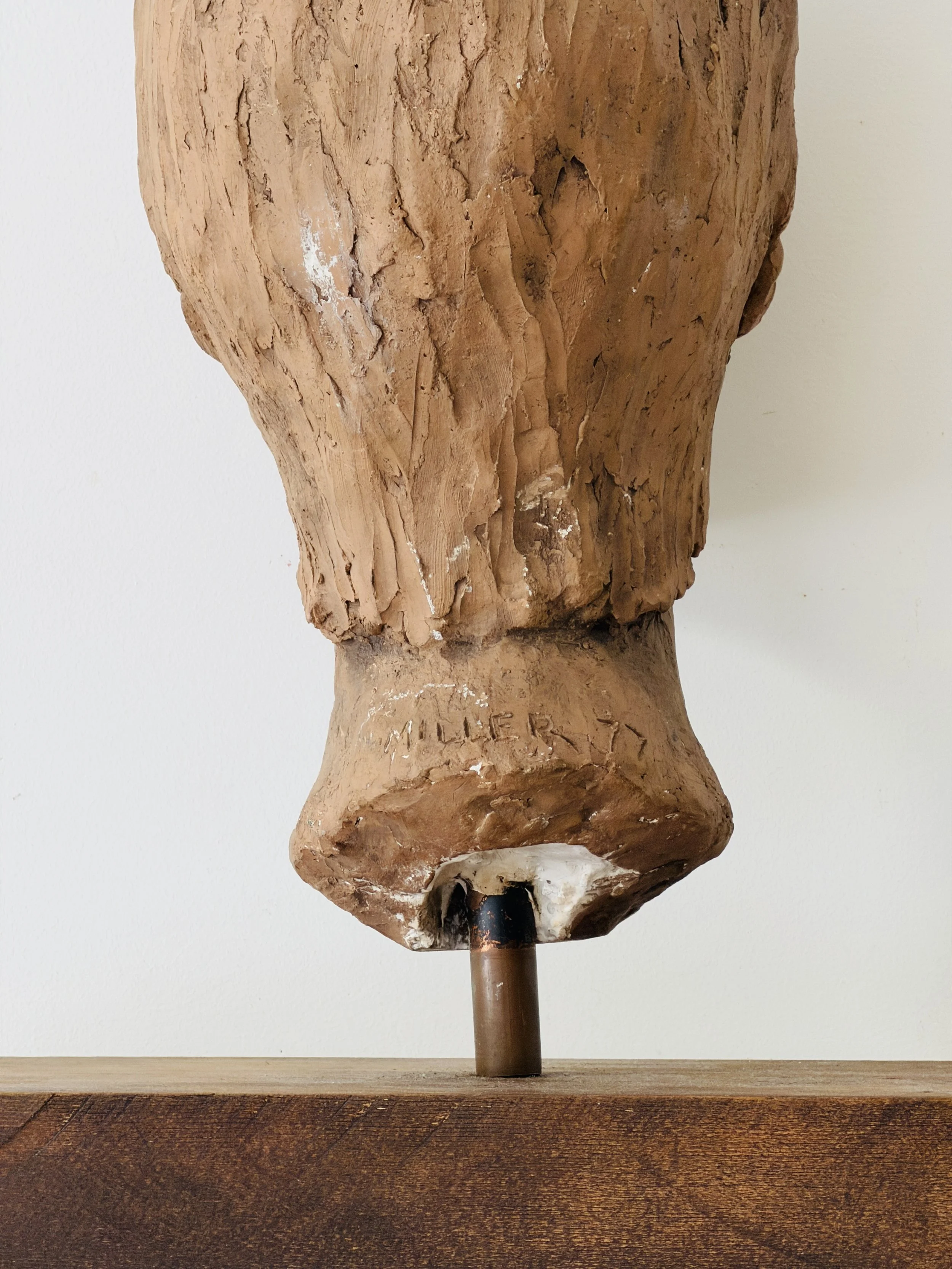 MATERI(A)NTIQUES RED CLAY FEMALE BUST ON WOODEN STAND.5.jpg