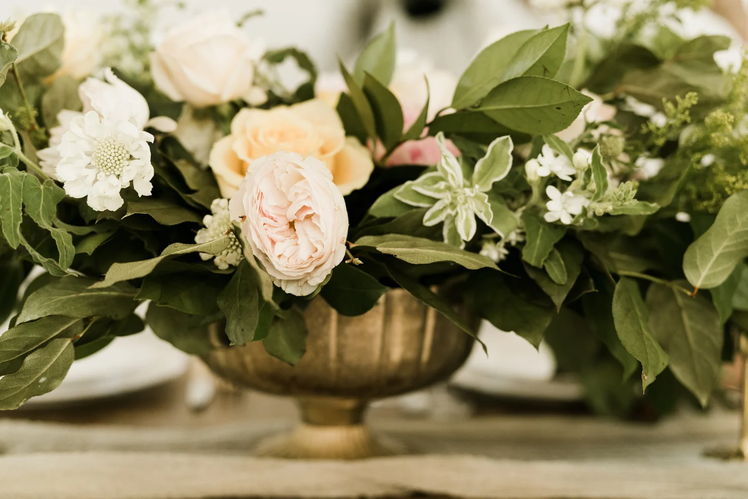 April Yentas Photography - Seabrook Shoot-12.jpg