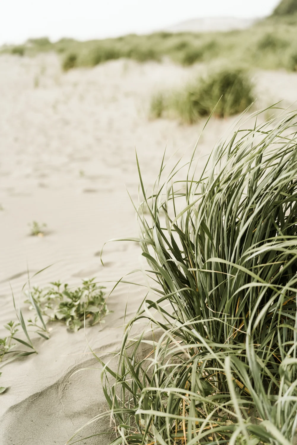April Yentas Photography - Seabrook Shoot-85.jpg