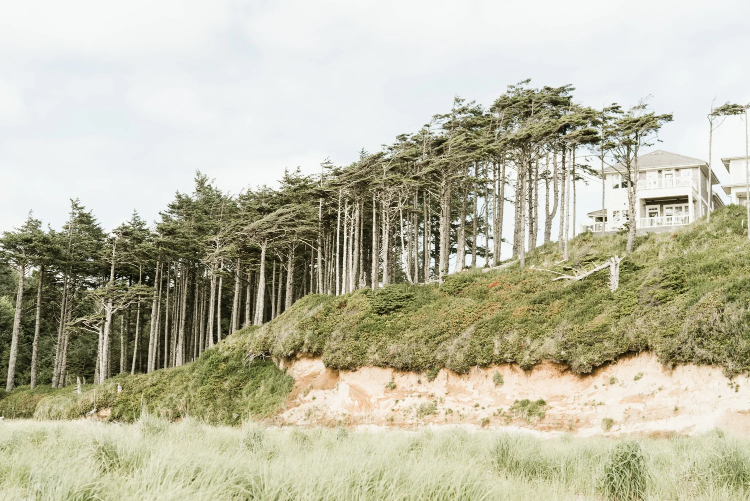 April Yentas Photography - Seabrook Shoot-86.jpg