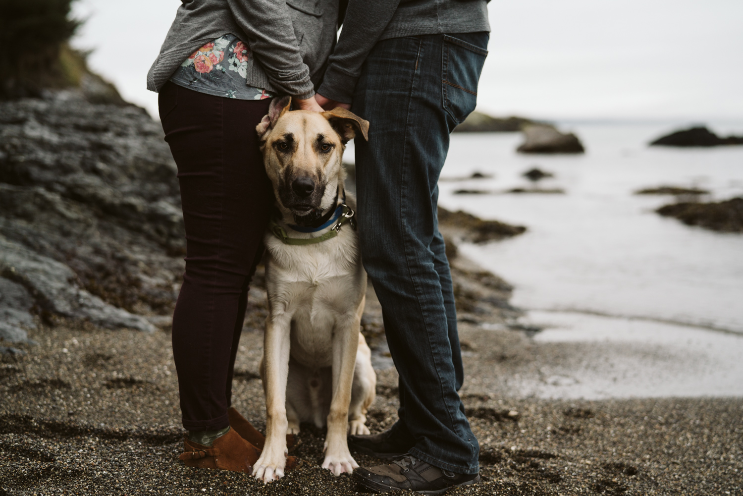 Deception Pass Engagement Session | Engagement sessions with dogs | Seattle wedding photographer