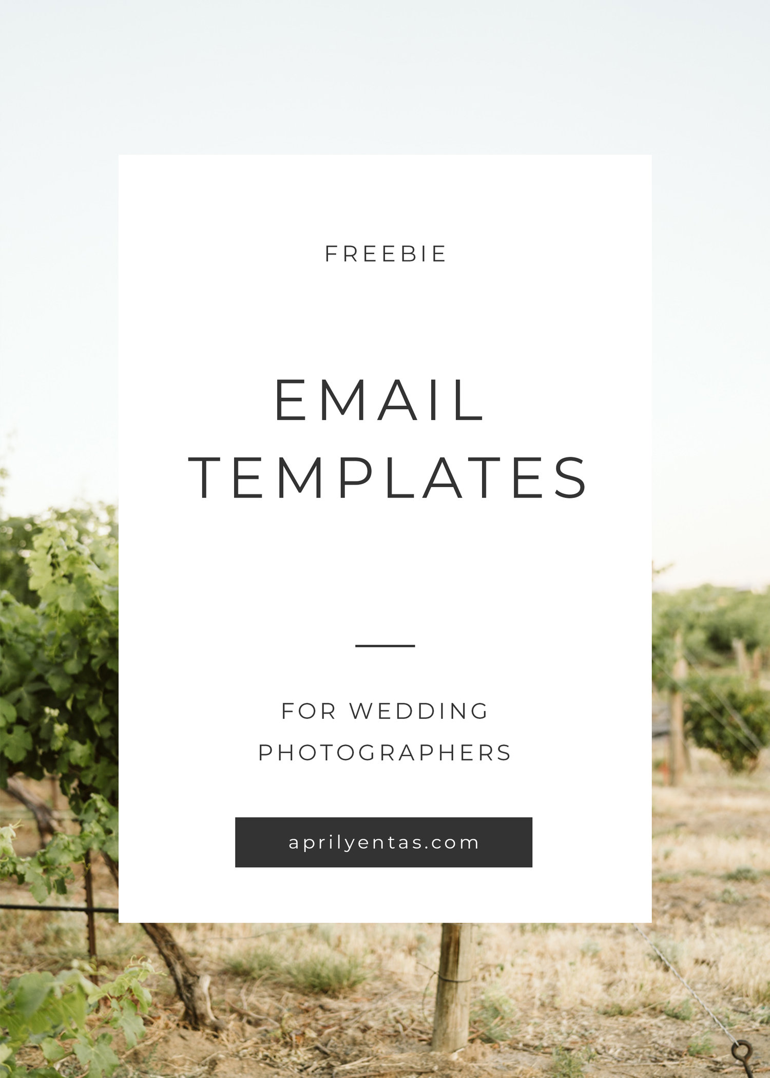 Email Templates For Wedding Photographers Resources For Wedding Photographers Seattle Wedding Photographer