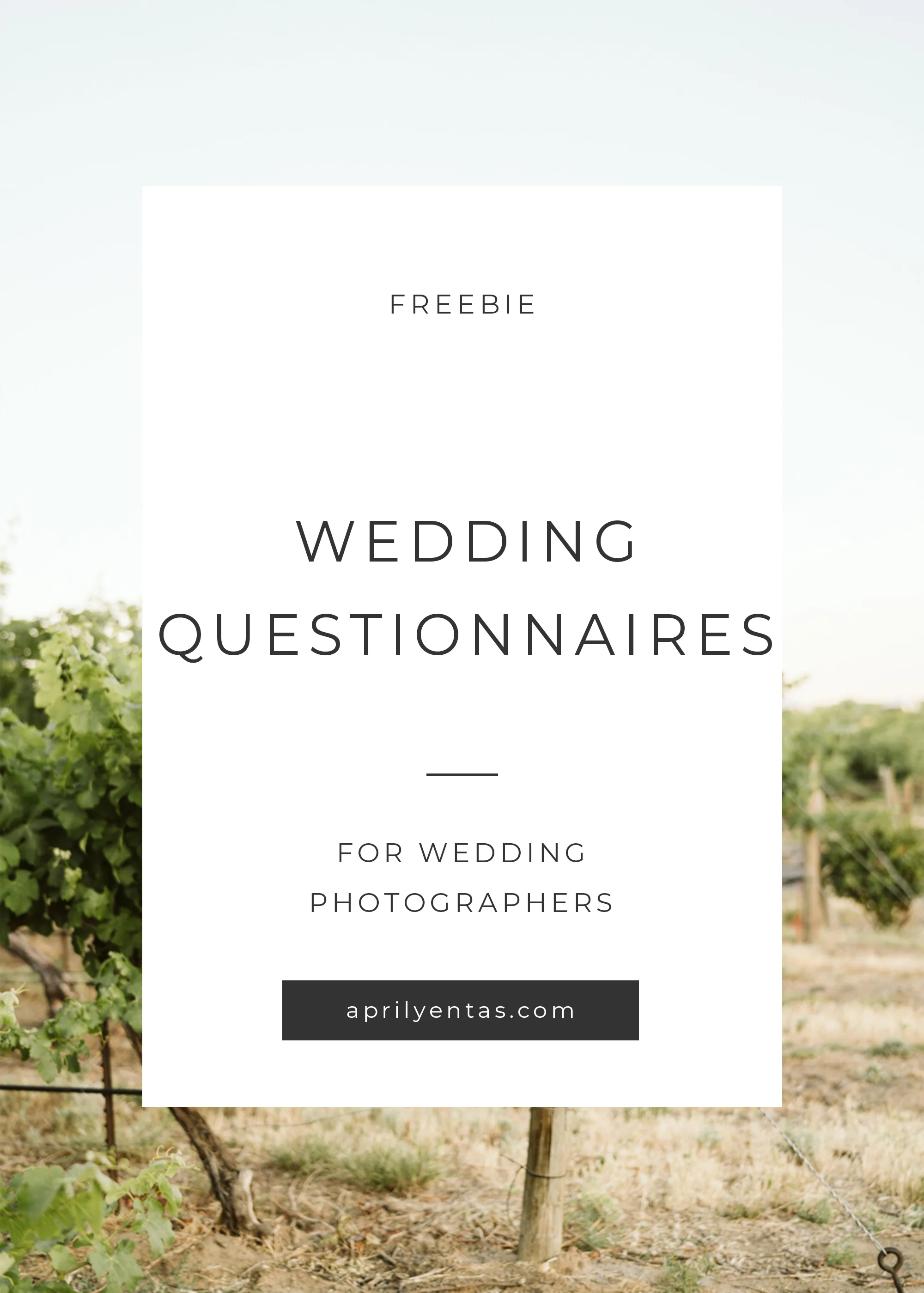 questionnaires for wedding photographers - free resources for wedding photographers