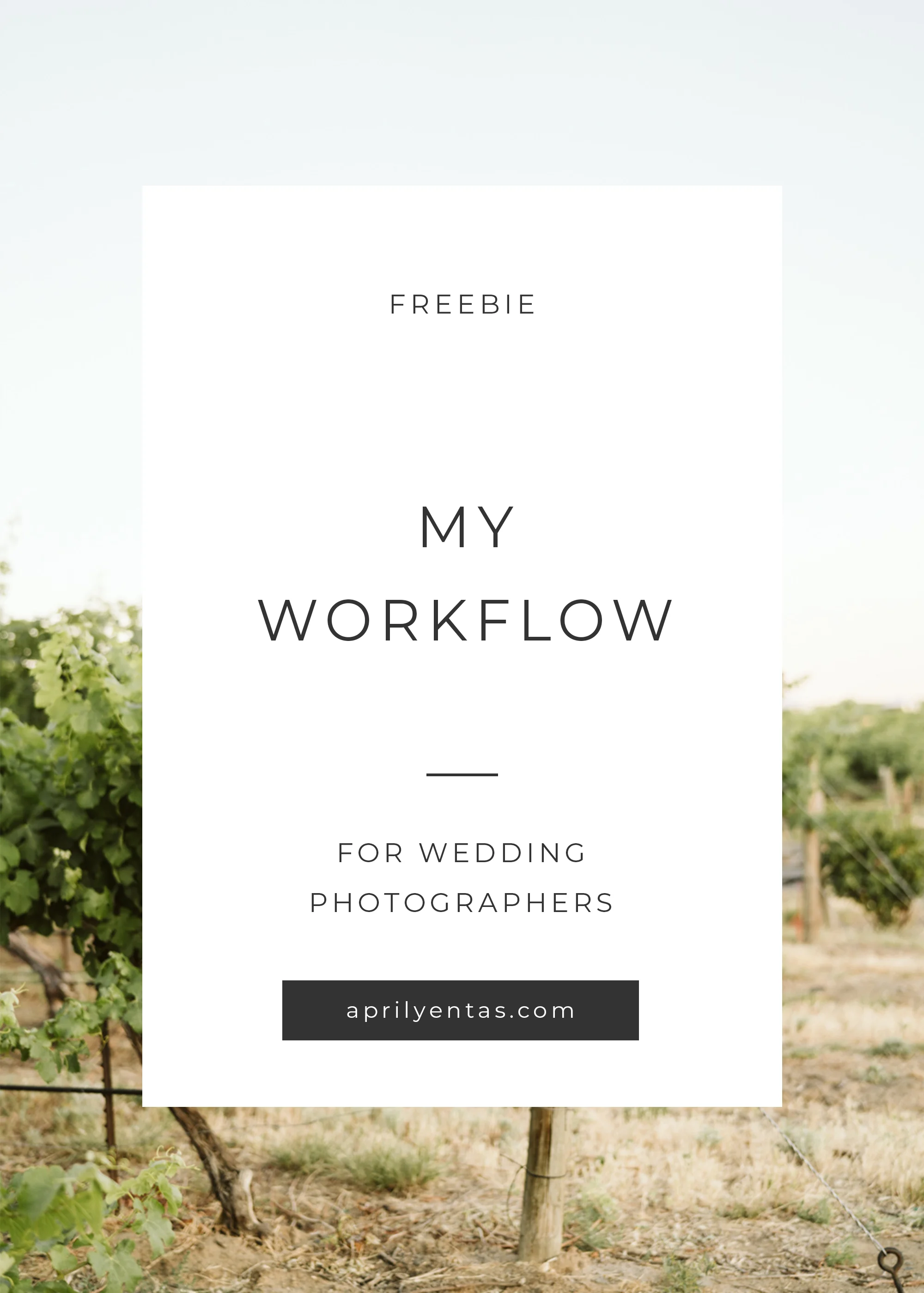 wedding photographer workflow - free resources for wedding photographers - wedding photographer workflow chart