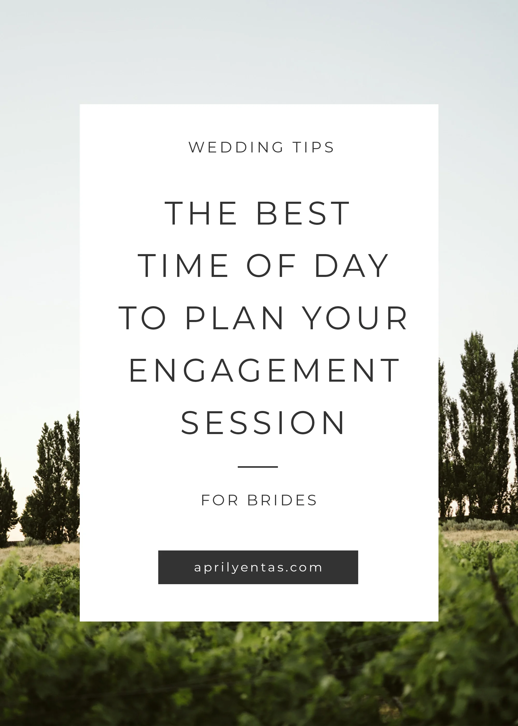 The best time of day for engagement sessions - wedding planning tips - for the bride - seattle wedding photographer