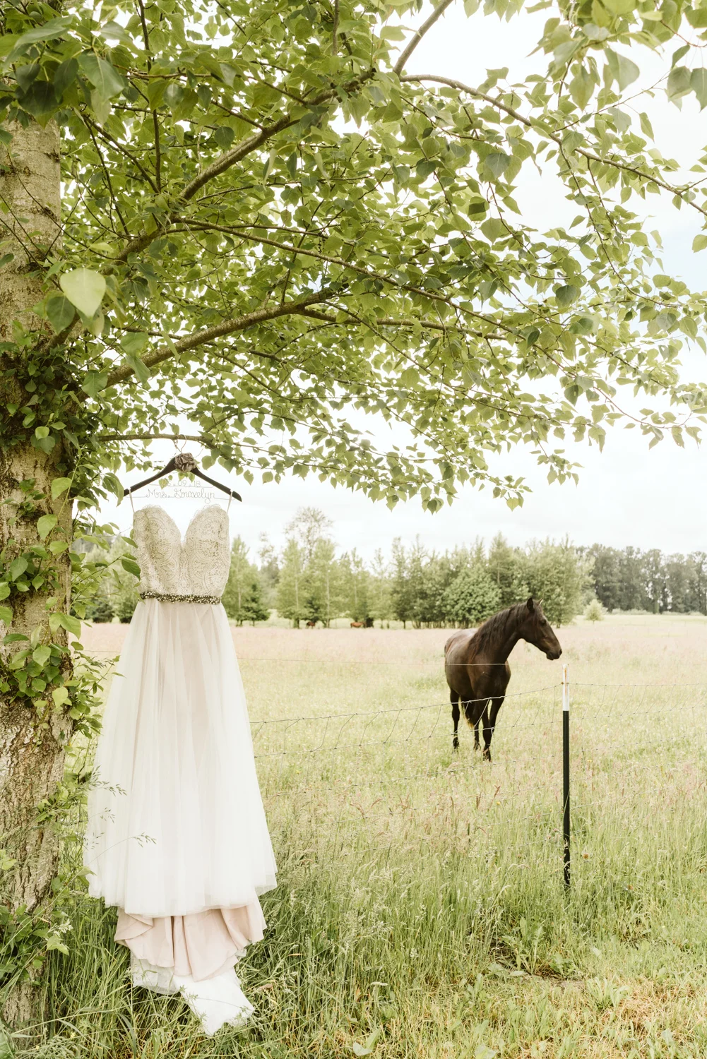 April Yentas Photography - becca & joe blog-2.jpg