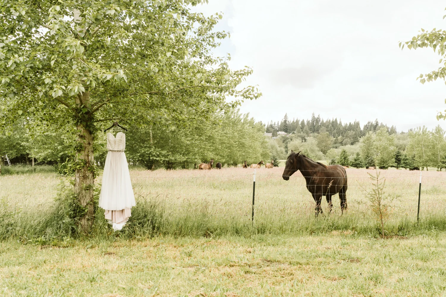 April Yentas Photography - becca & joe blog-3.jpg