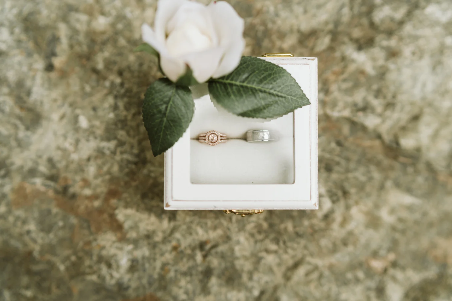 April Yentas Photography - nikita & colin slideshow-4.jpg