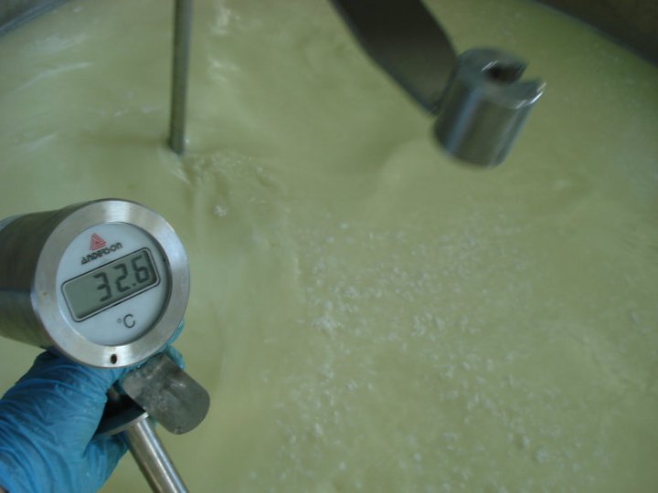 Cooking the cut curds to the proper temperature and pH.