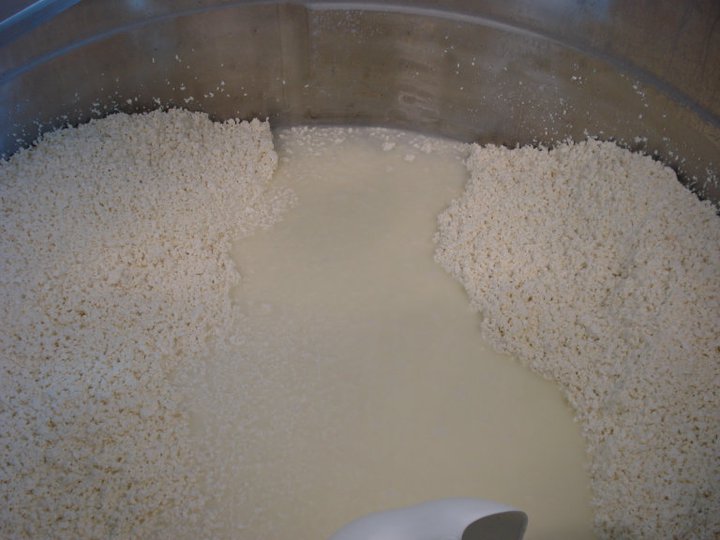  Draining of the whey and separating the curds. 