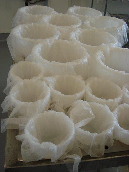 Preparing and sanitizing the moulds.