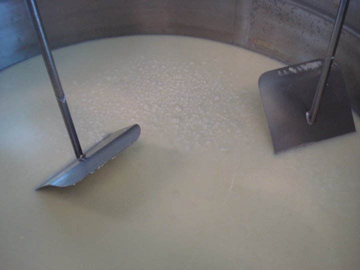 Stirring while cooking the curds.