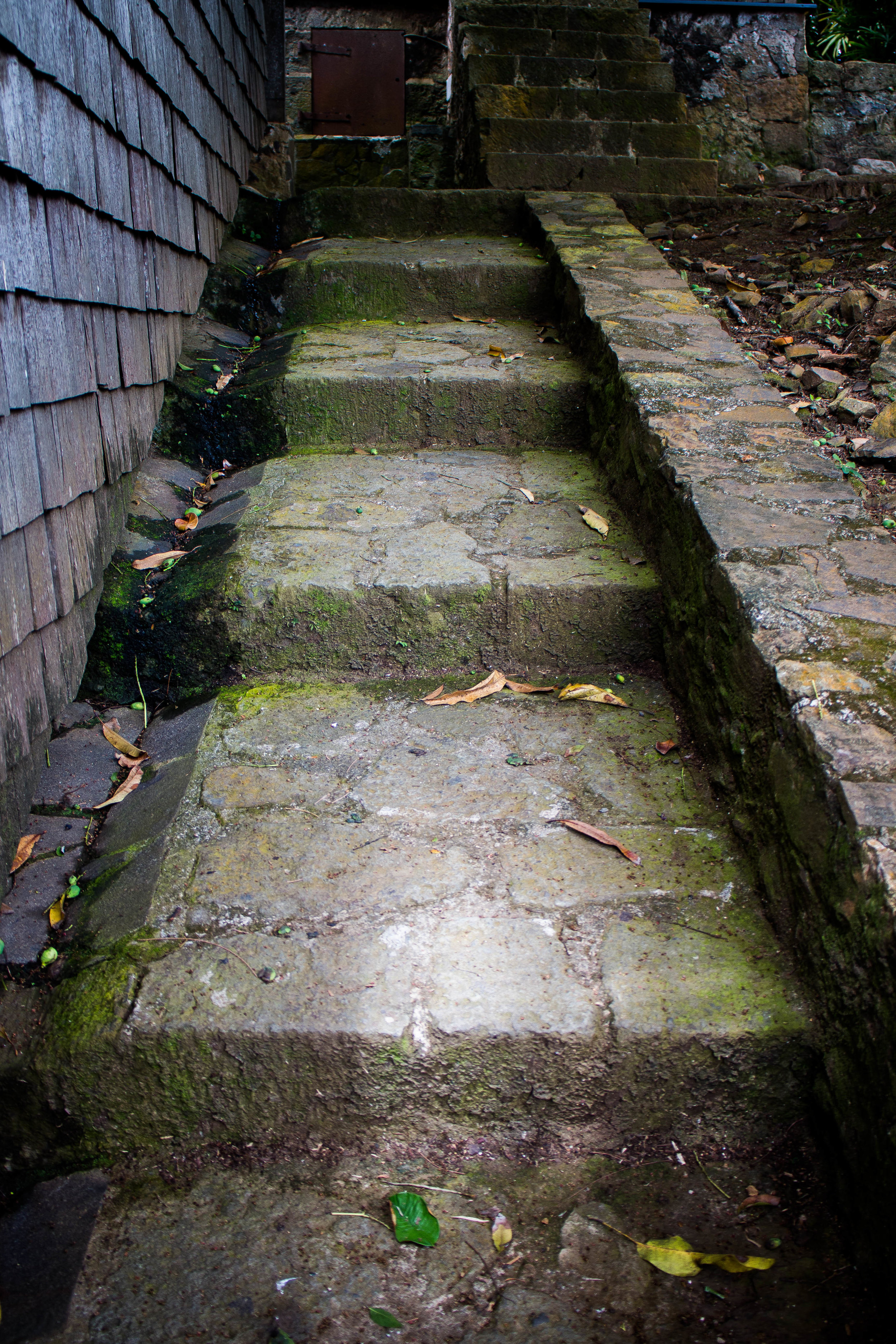 Stable steps, Habitation Clément
