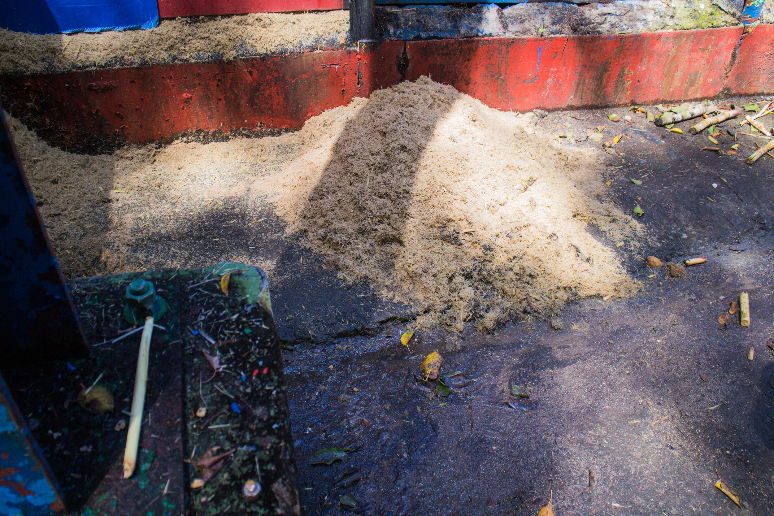 Bagasse on the cane crusher platform